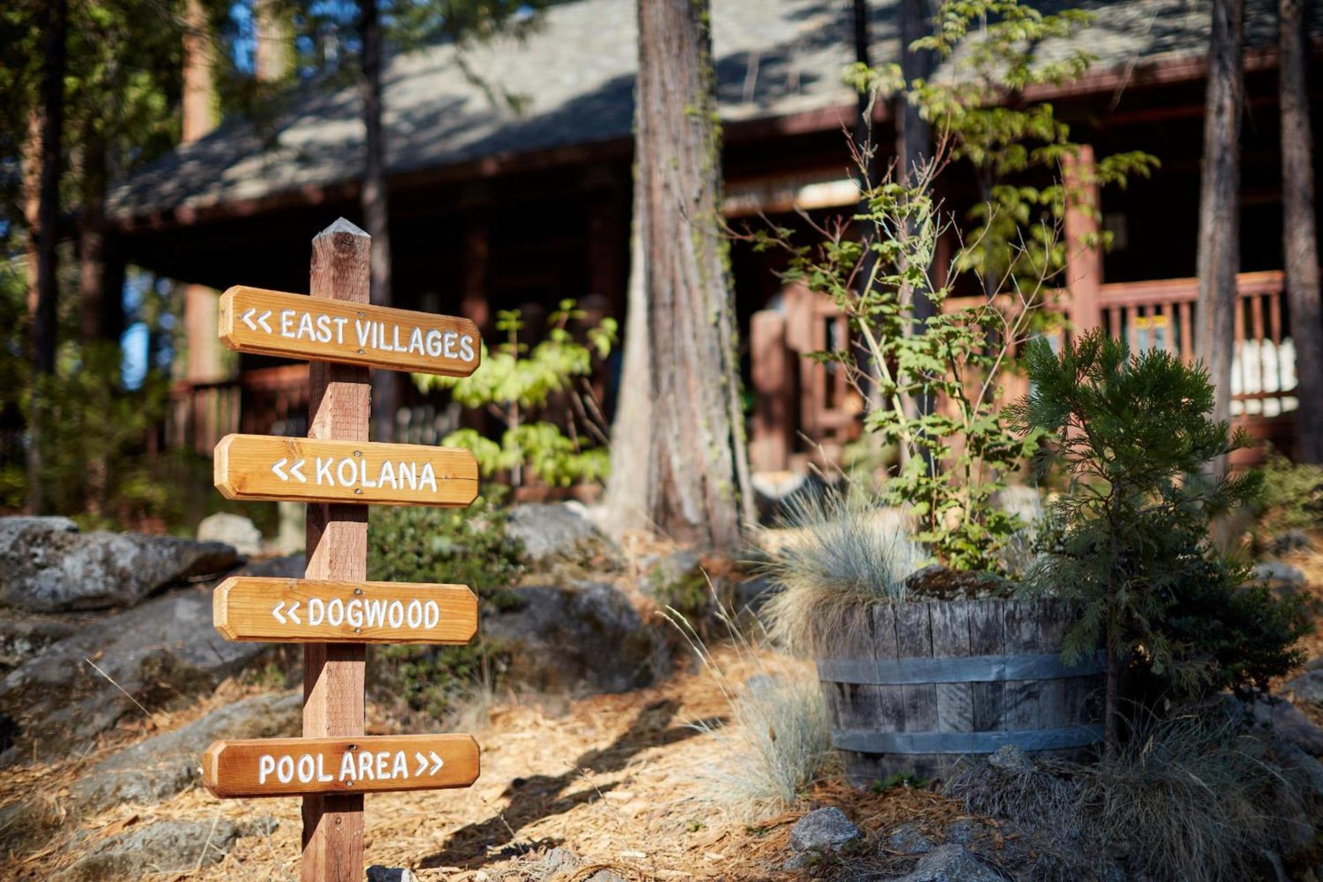 Evergreen Lodge at Yosemite photo 71