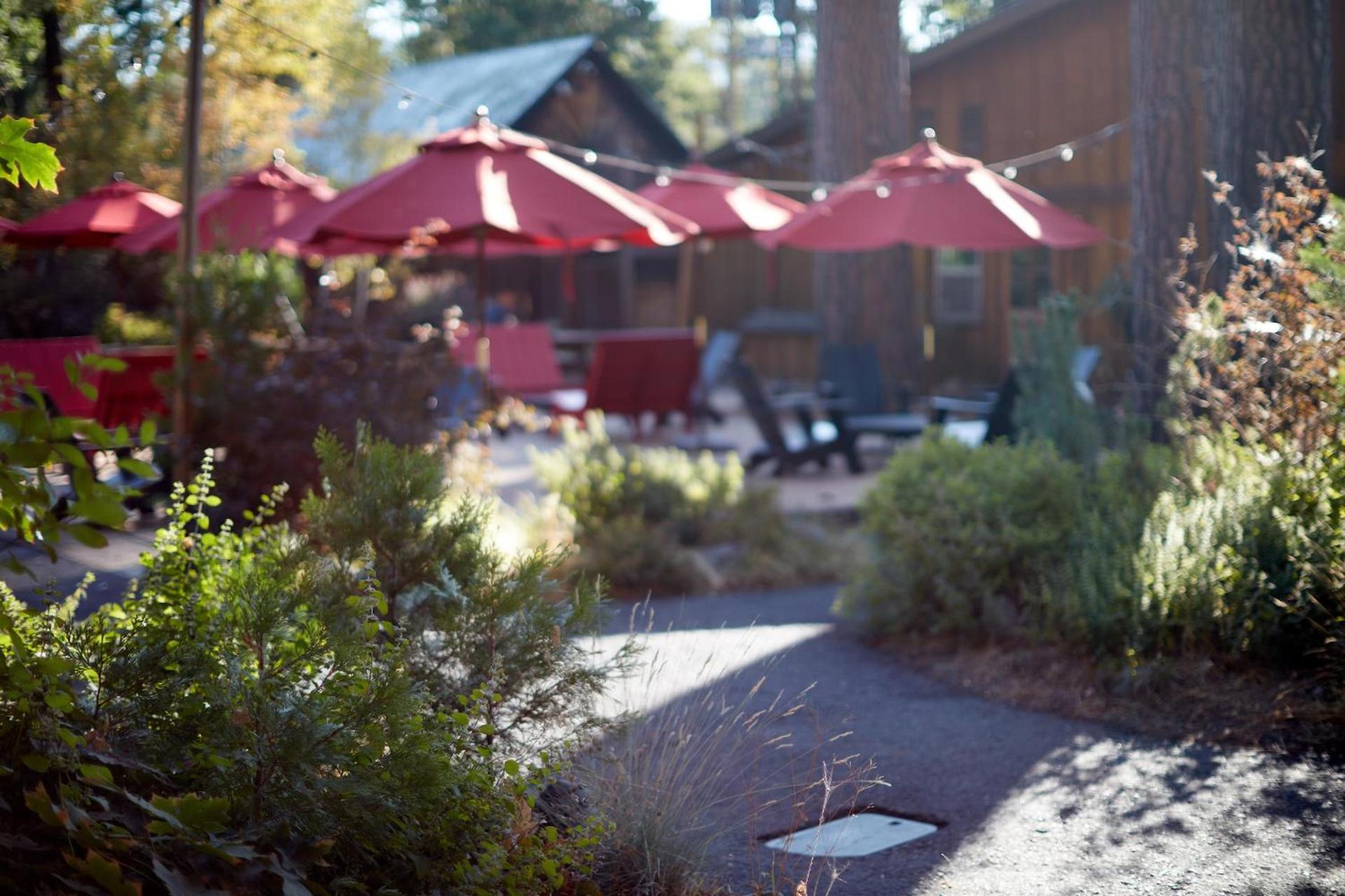 Evergreen Lodge at Yosemite photo 75