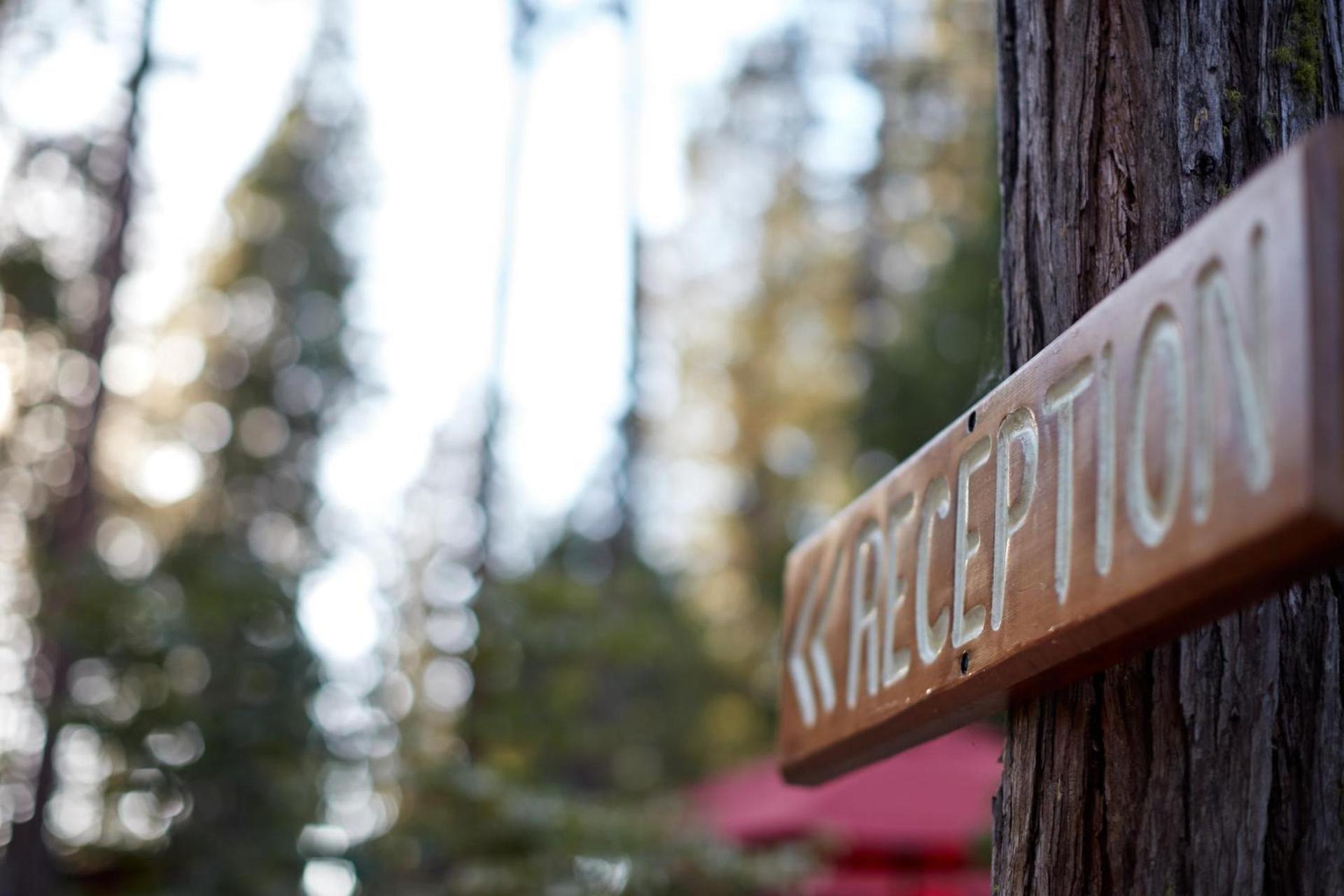 Evergreen Lodge at Yosemite photo 77