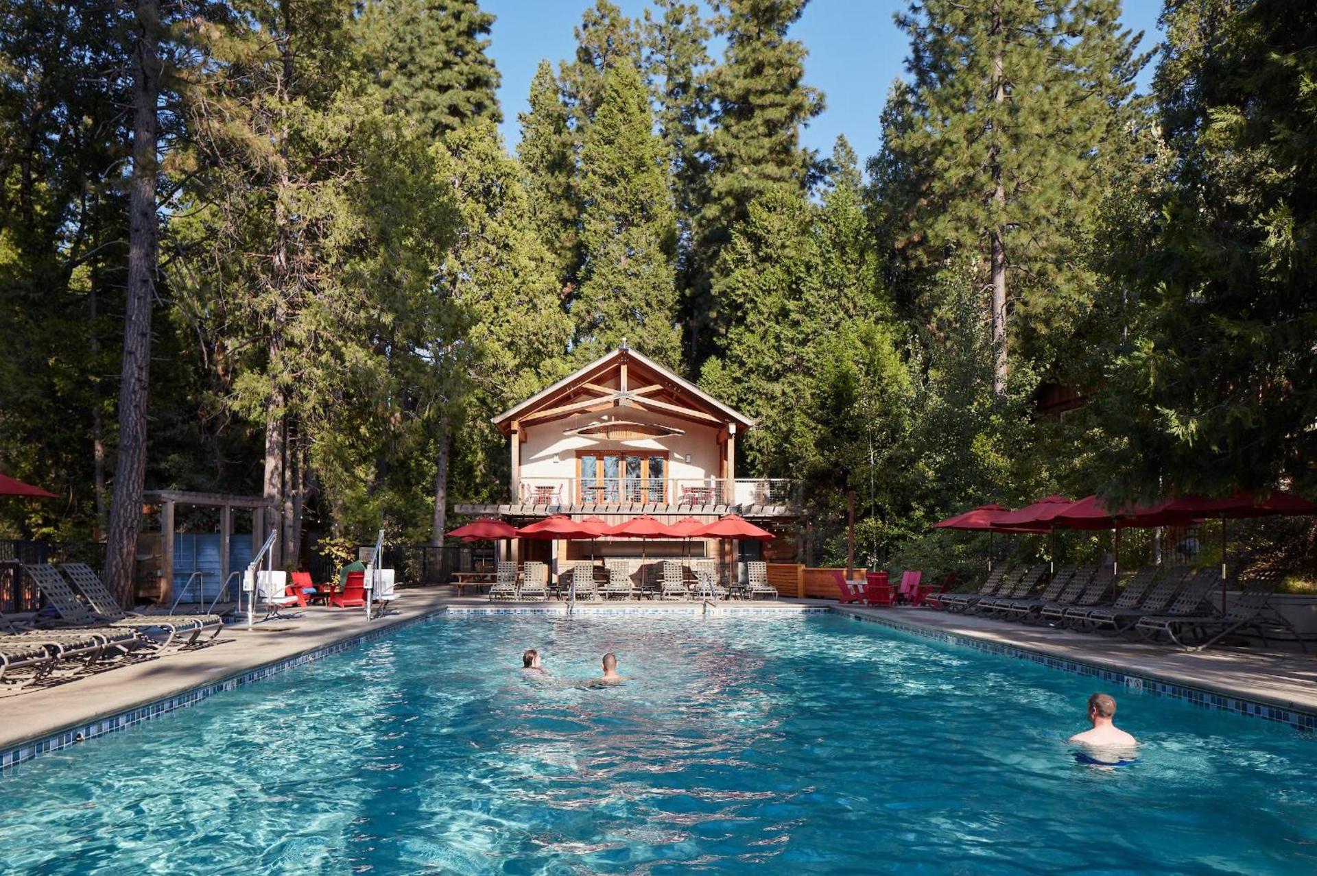 Evergreen Lodge at Yosemite photo 95