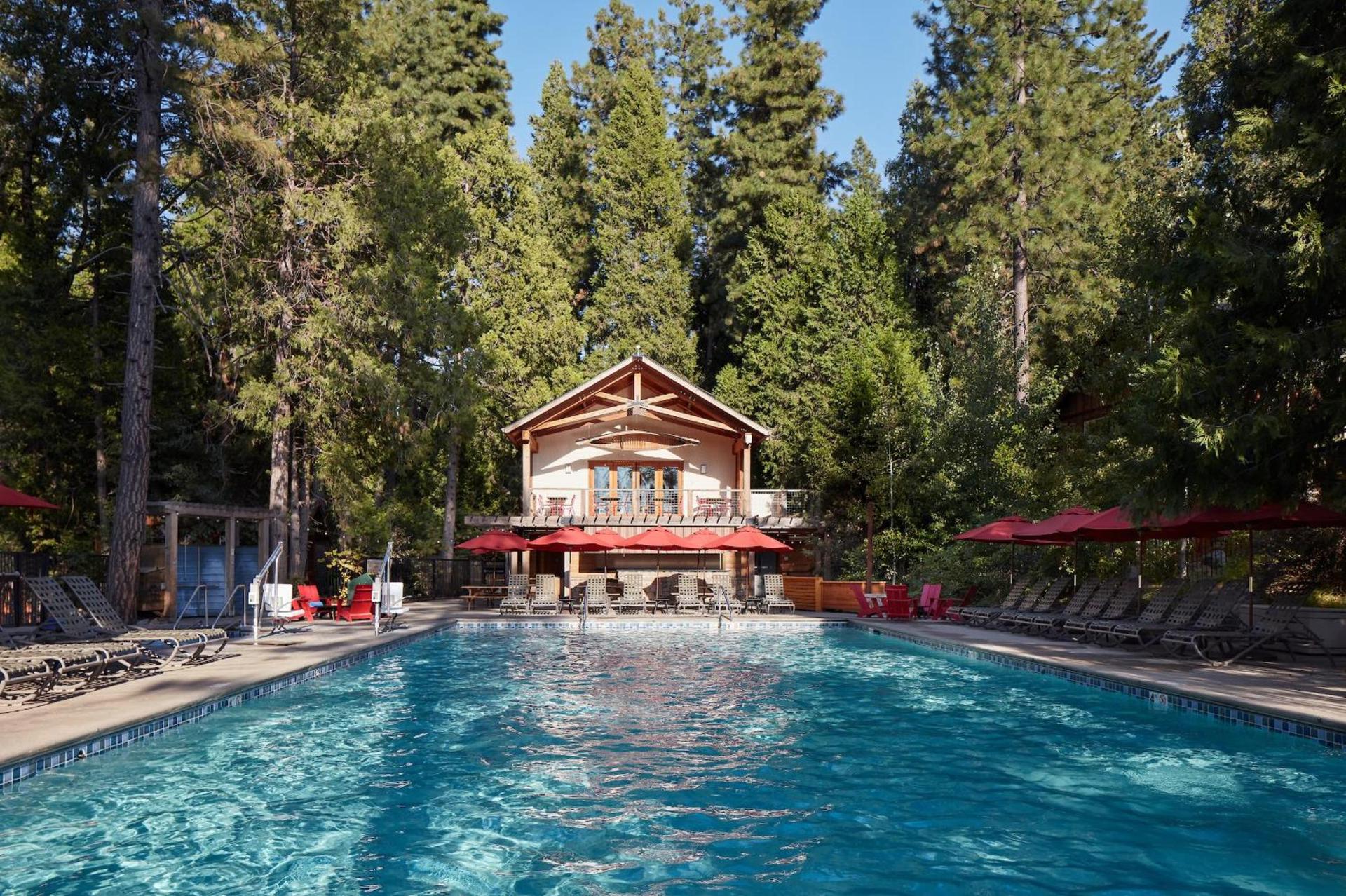 Evergreen Lodge at Yosemite photo 96