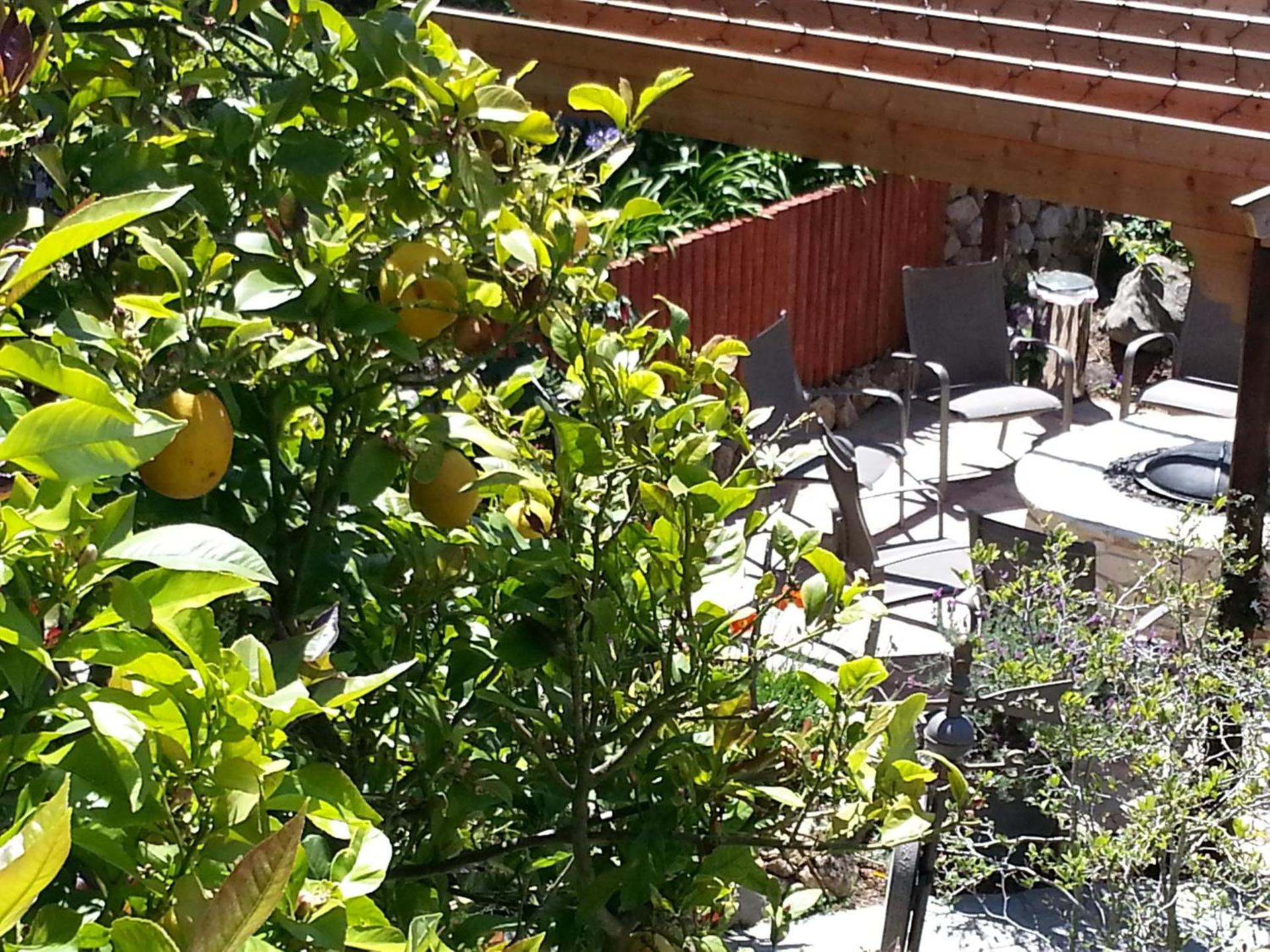 The Vendange Carmel Inn & Suites photo 68