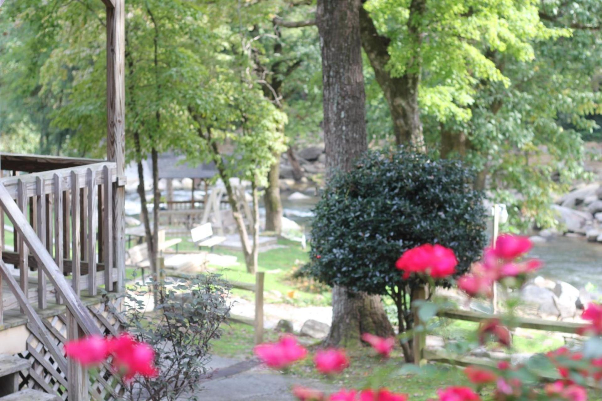 The Evening Shade River Lodge and Cabins photo 39