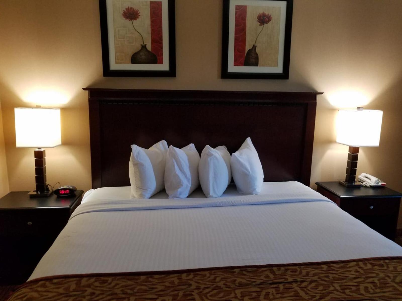 Days Inn by Wyndham Lincoln, IL Route 66 photo 36