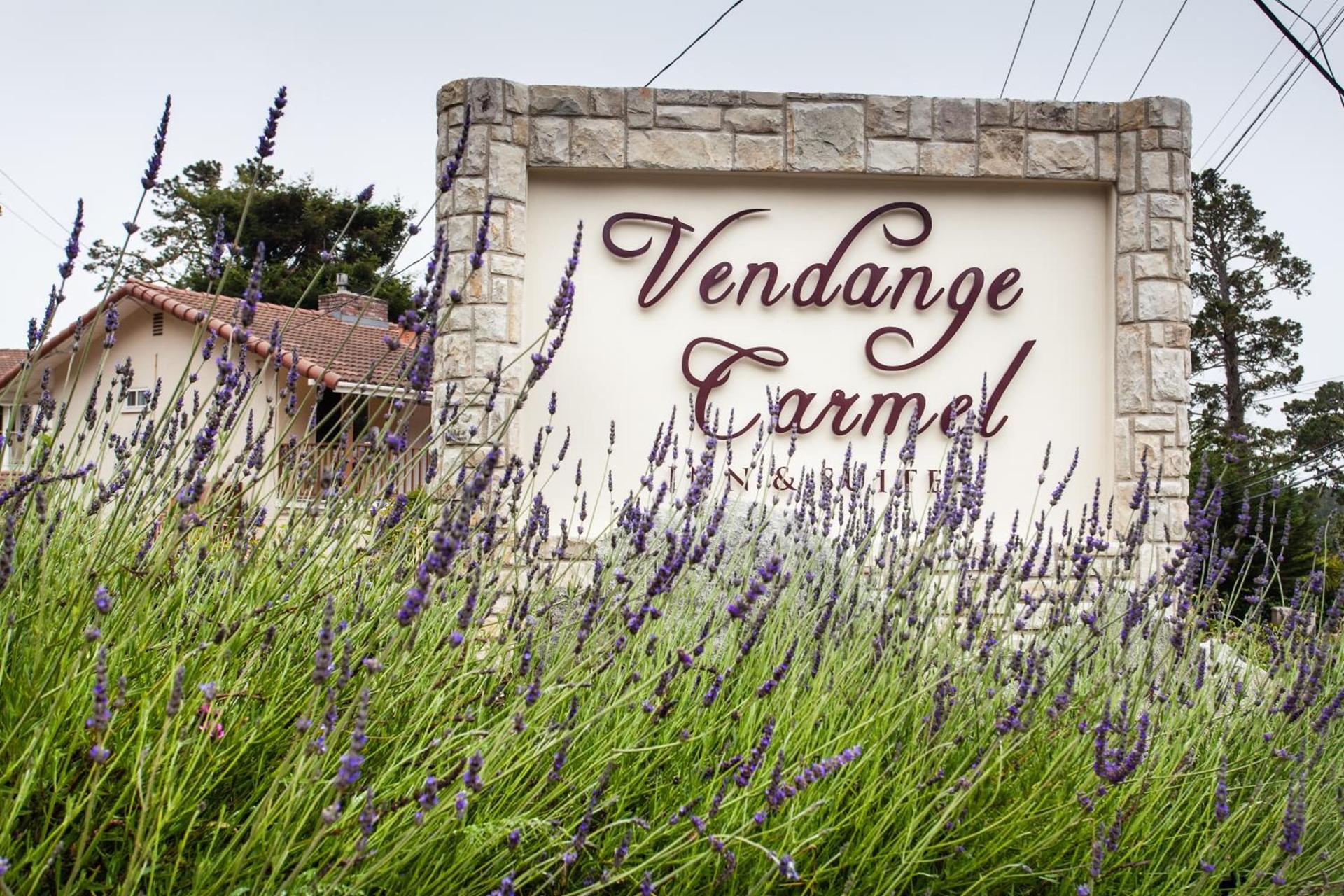 The Vendange Carmel Inn & Suites photo 11