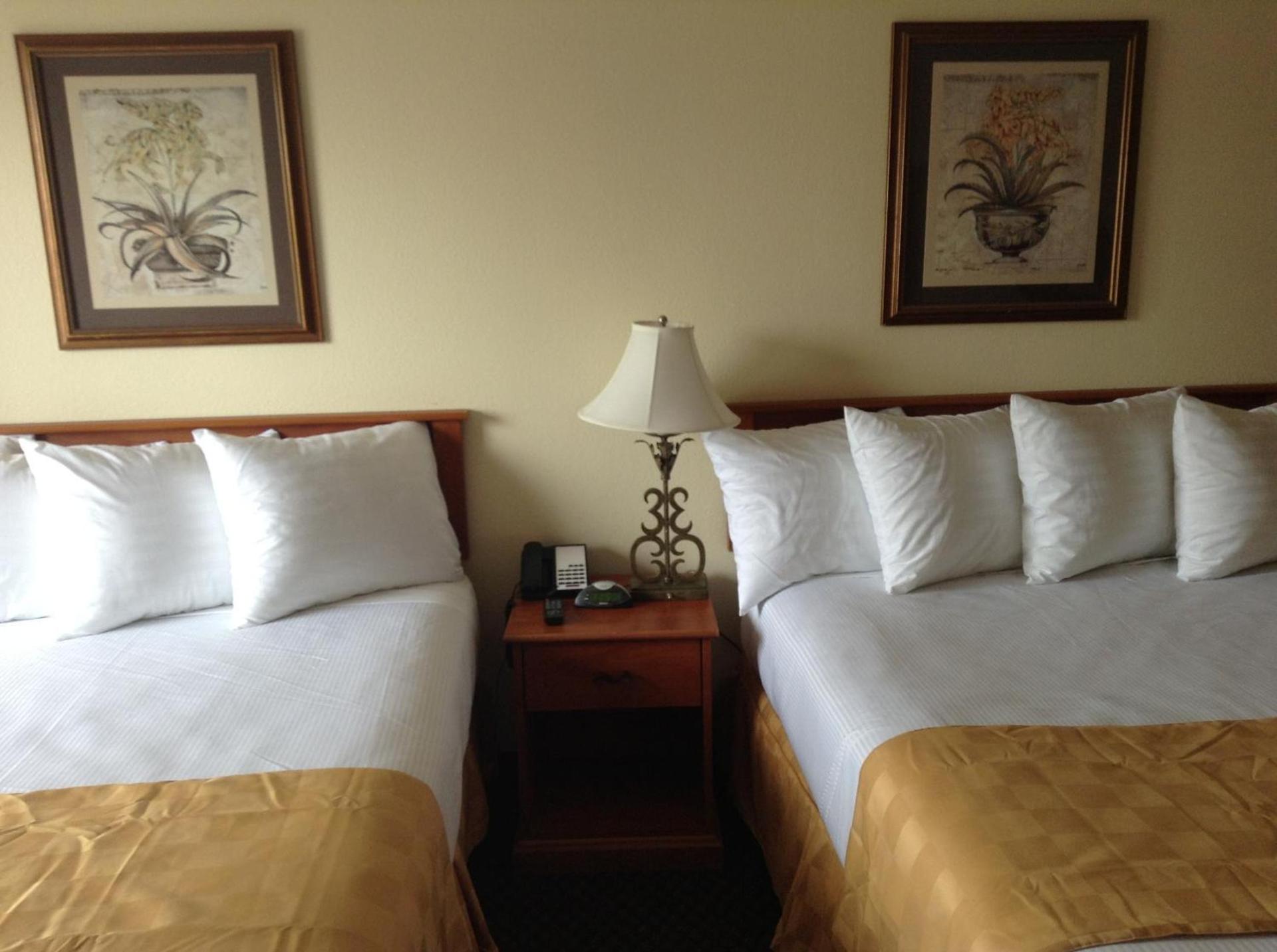Best Inn & Suites photo 8