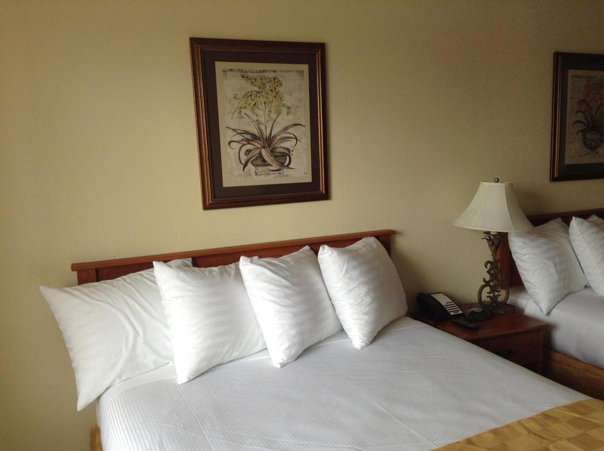 Best Inn & Suites photo 11