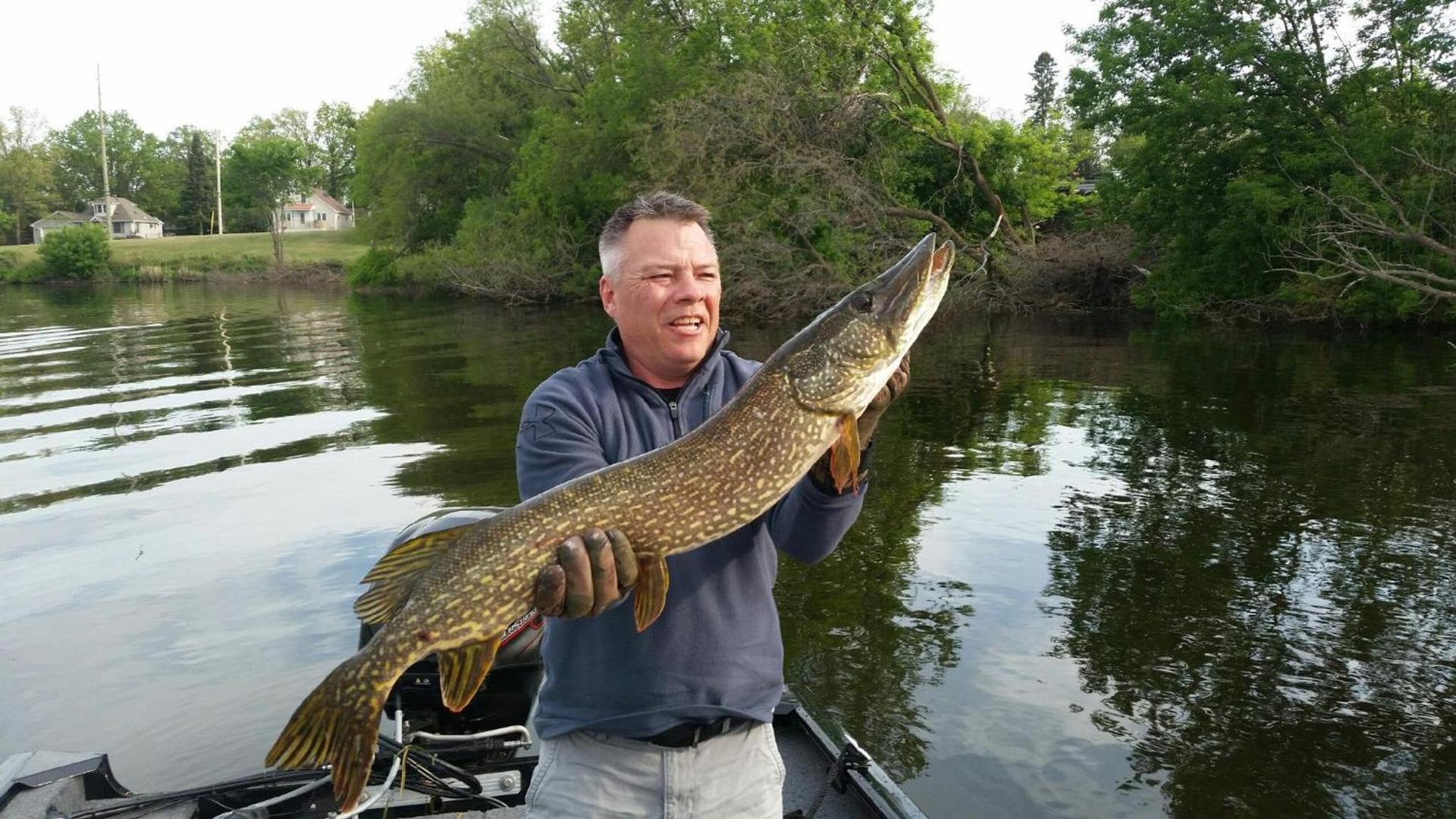 Curriers Lakeview Lodge photo 37
