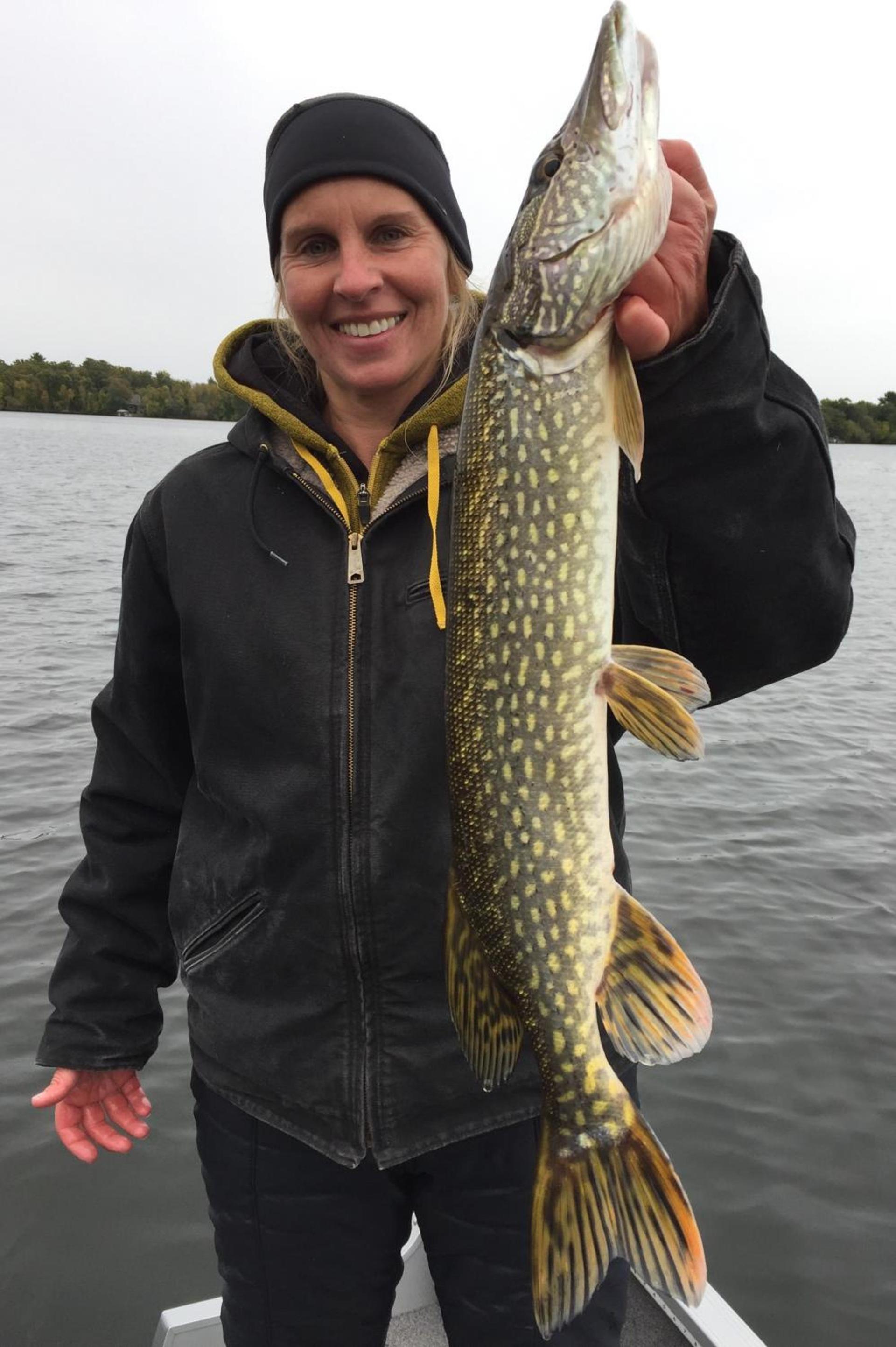 Curriers Lakeview Lodge photo 39