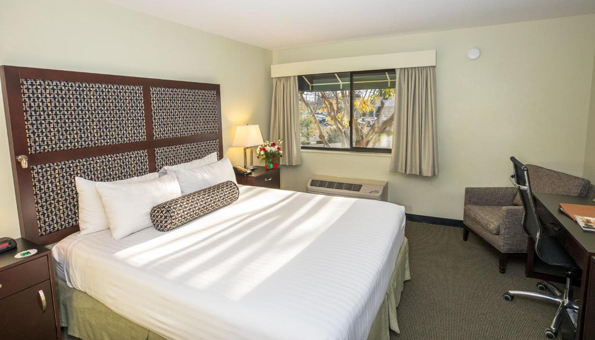 Maple Tree Inn photo 16