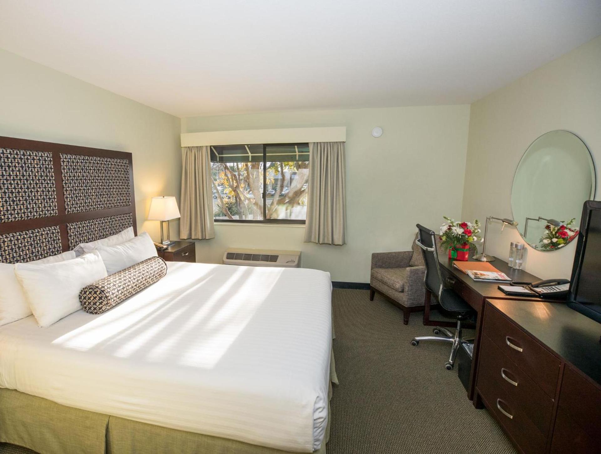 Maple Tree Inn photo 12