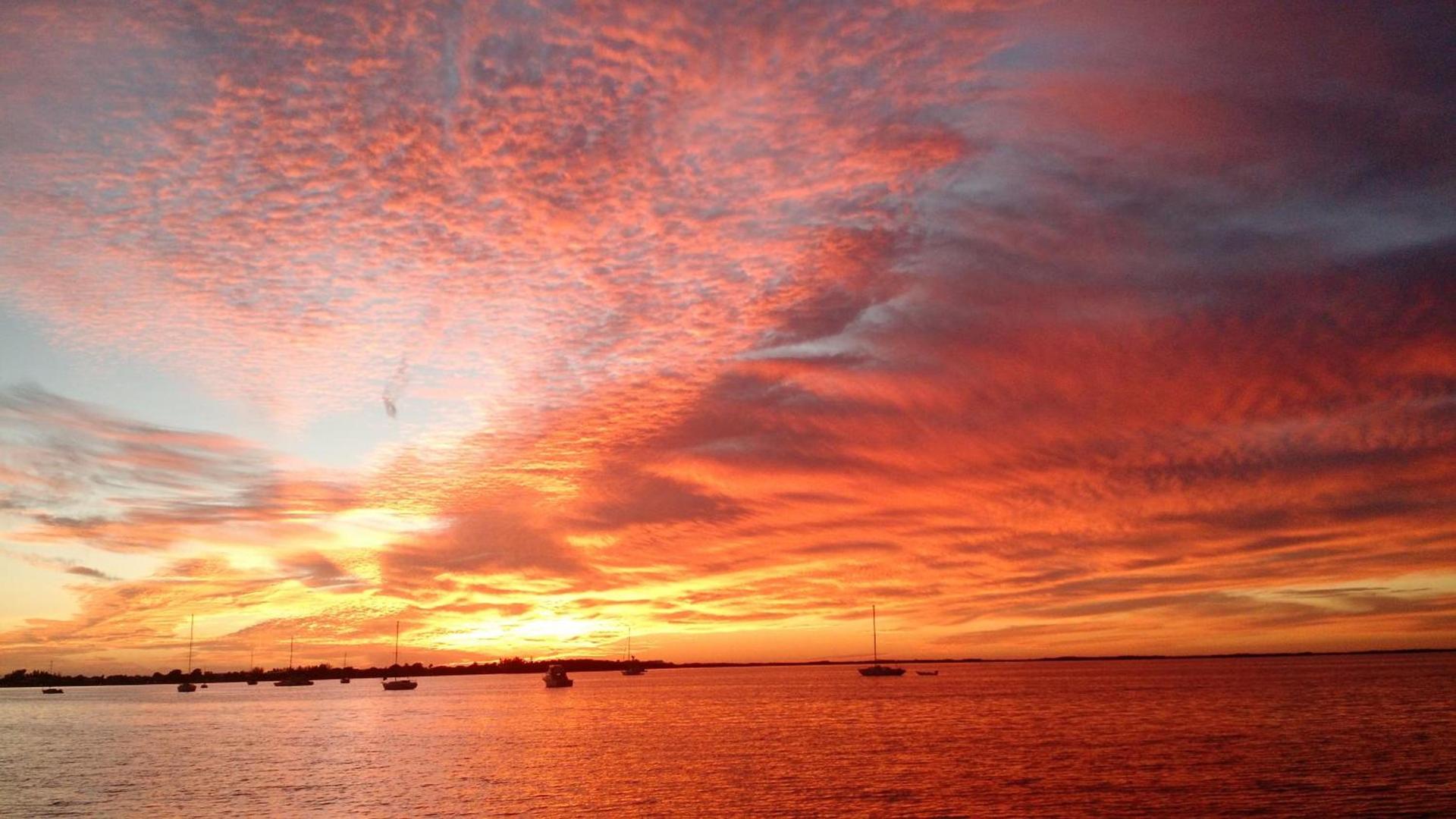 Key Largo Cottages photo 80