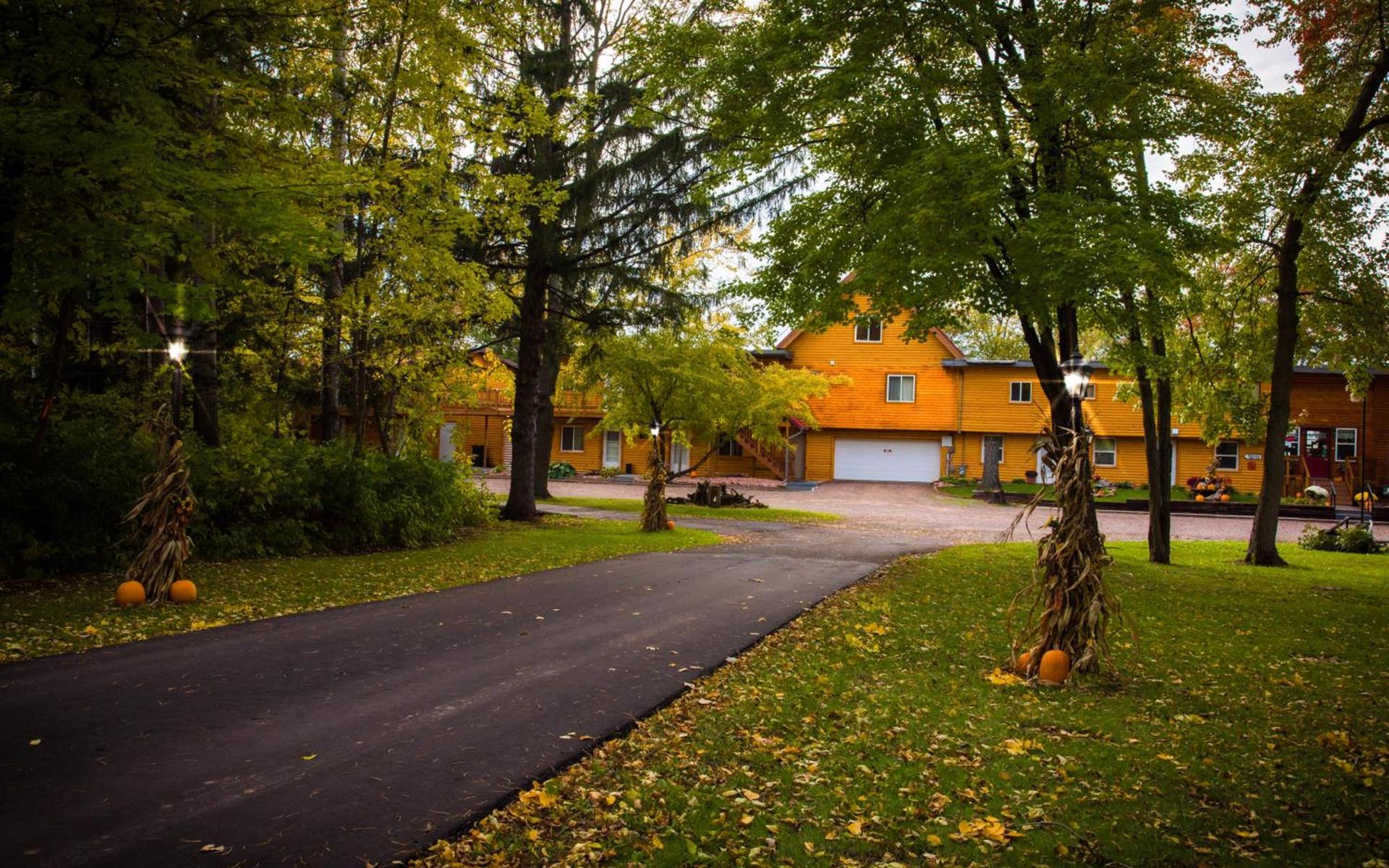 Curriers Lakeview Lodge photo 20