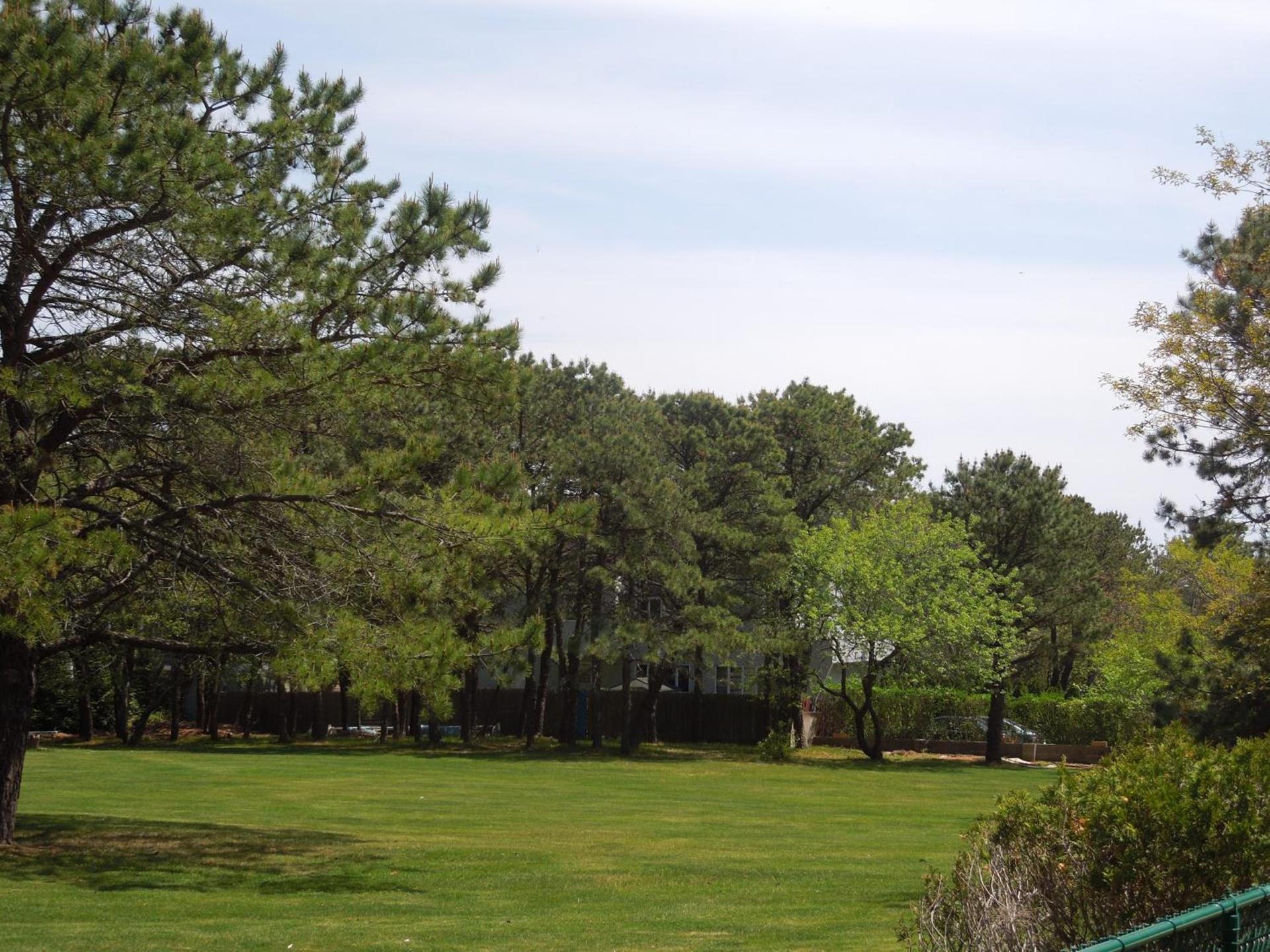 Hamlet Inn - PASSES TO COOPERS BEACH photo 6