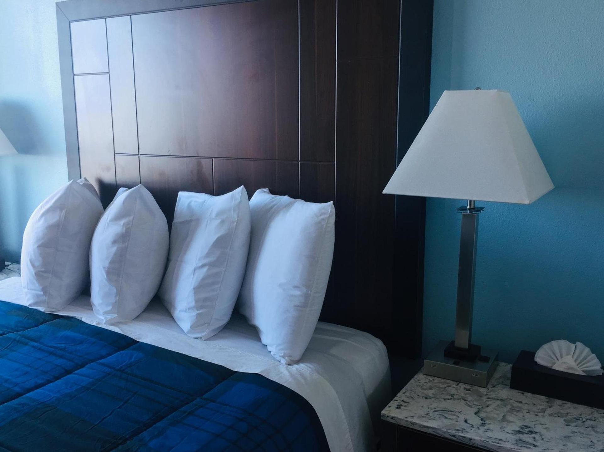 Dolphin Cove Motel photo 17
