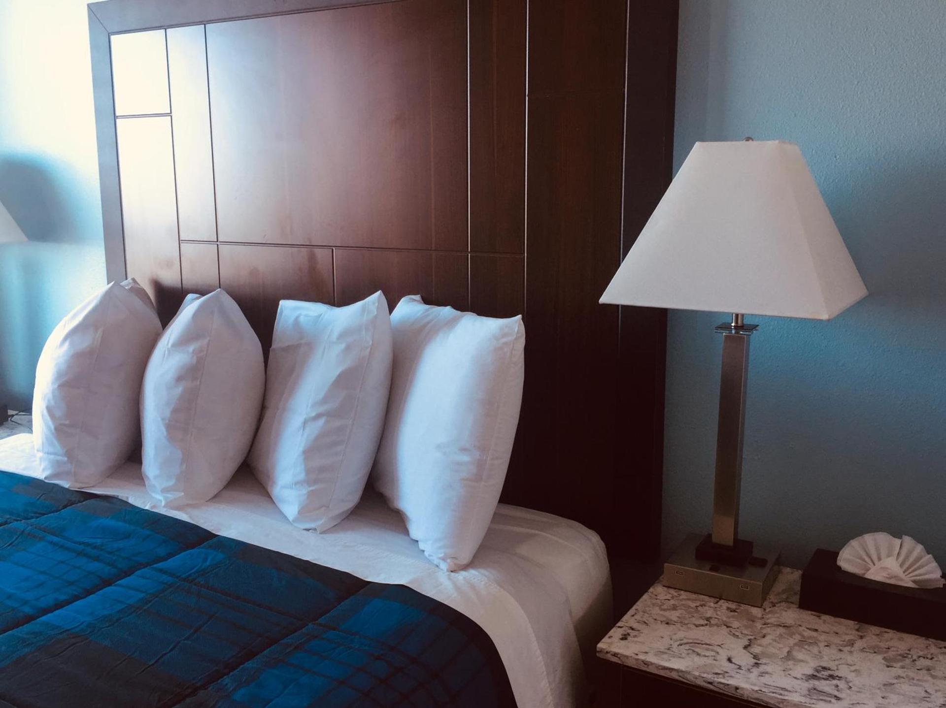 Dolphin Cove Motel photo 18