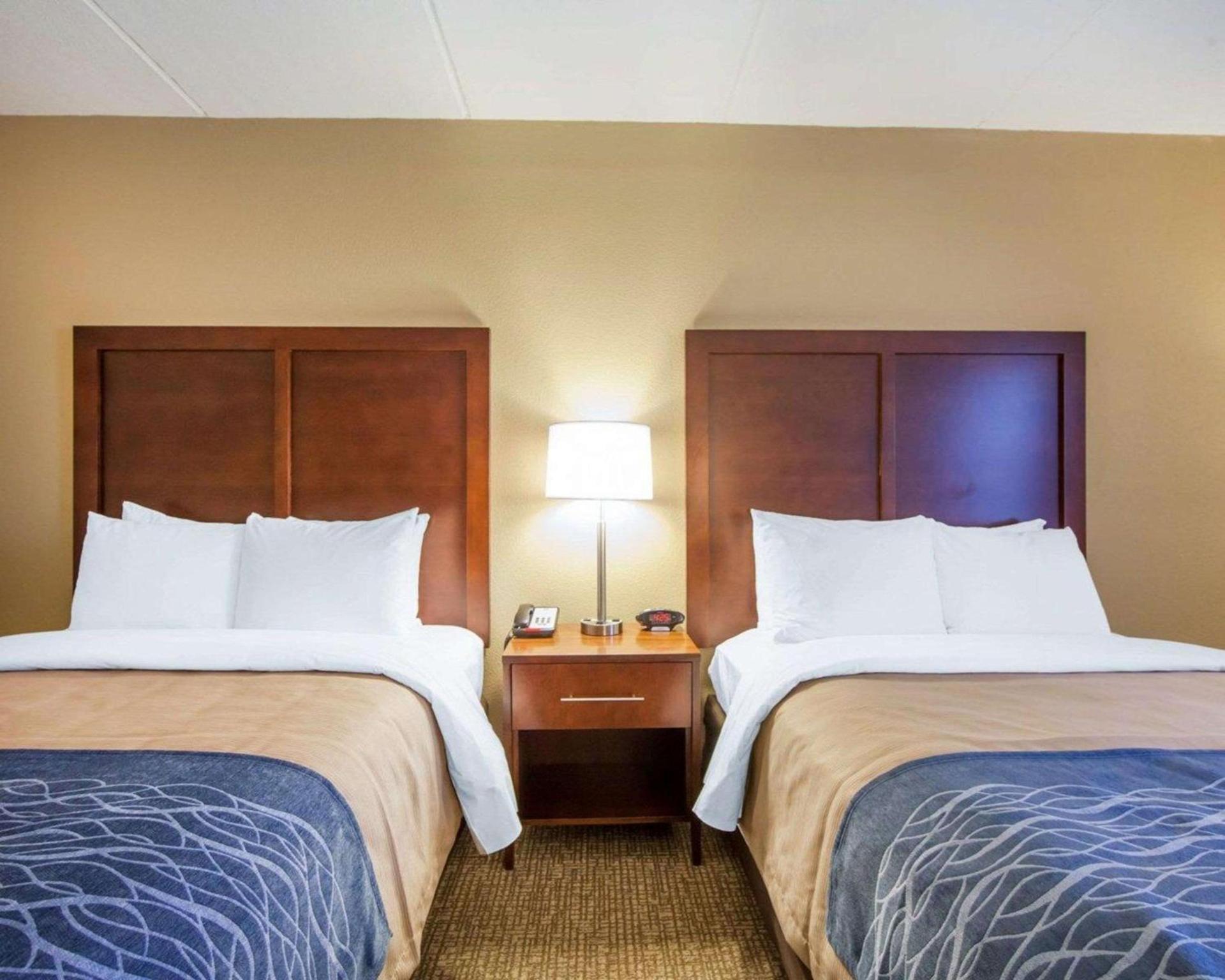 Comfort Inn at Royal Blue photo 12