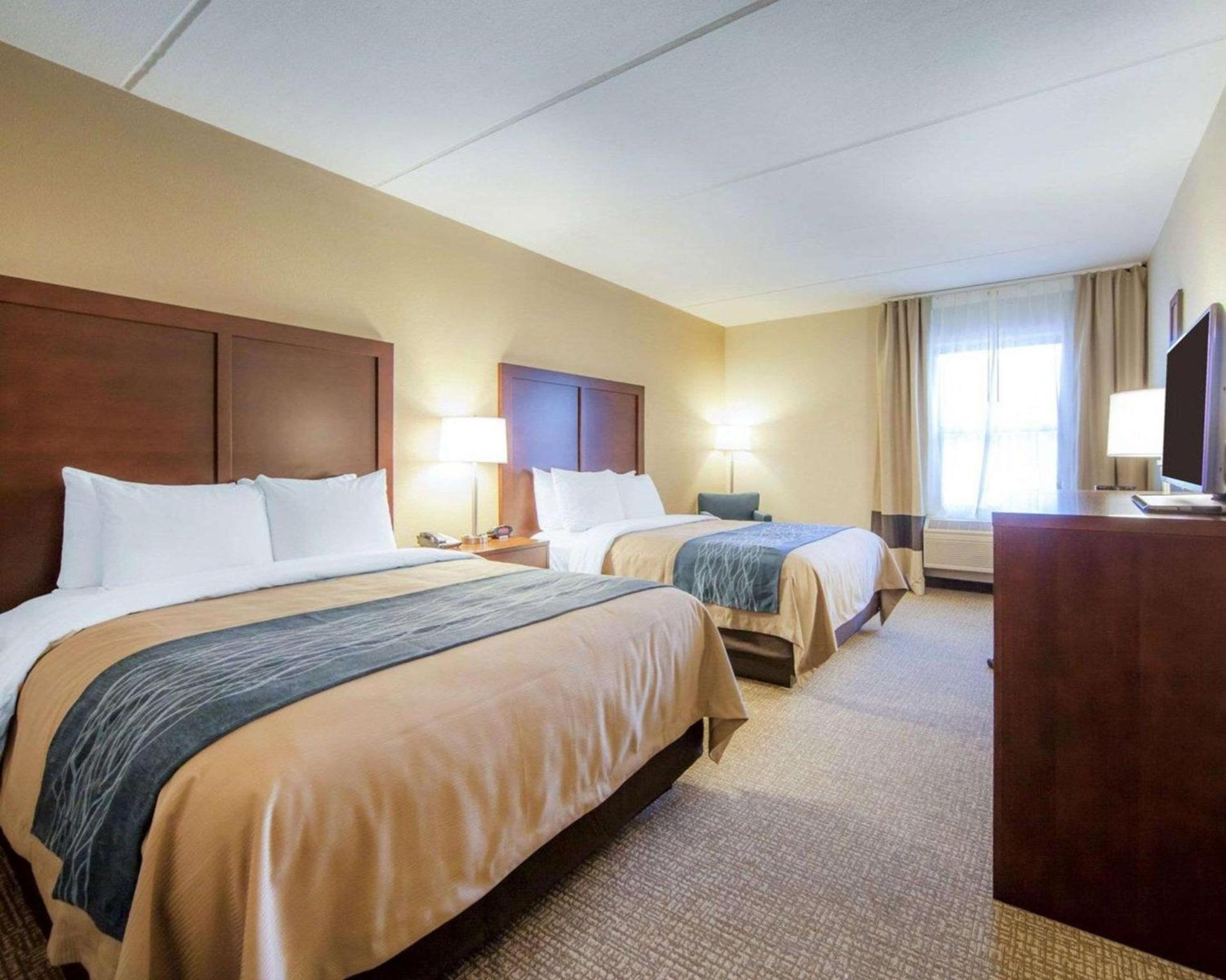 Comfort Inn at Royal Blue photo 16