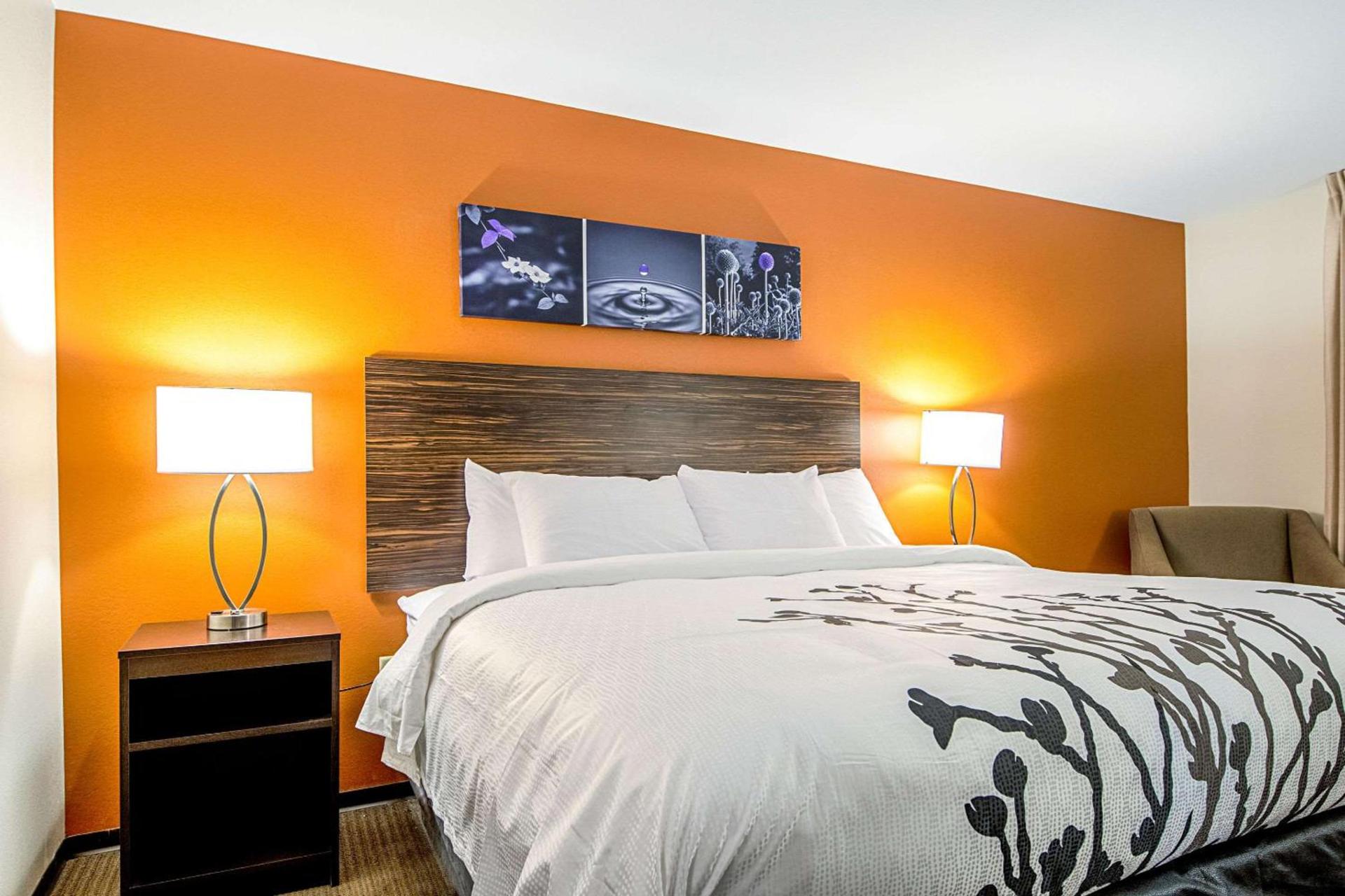 Sleep Inn Geismar - Gonzales photo 13