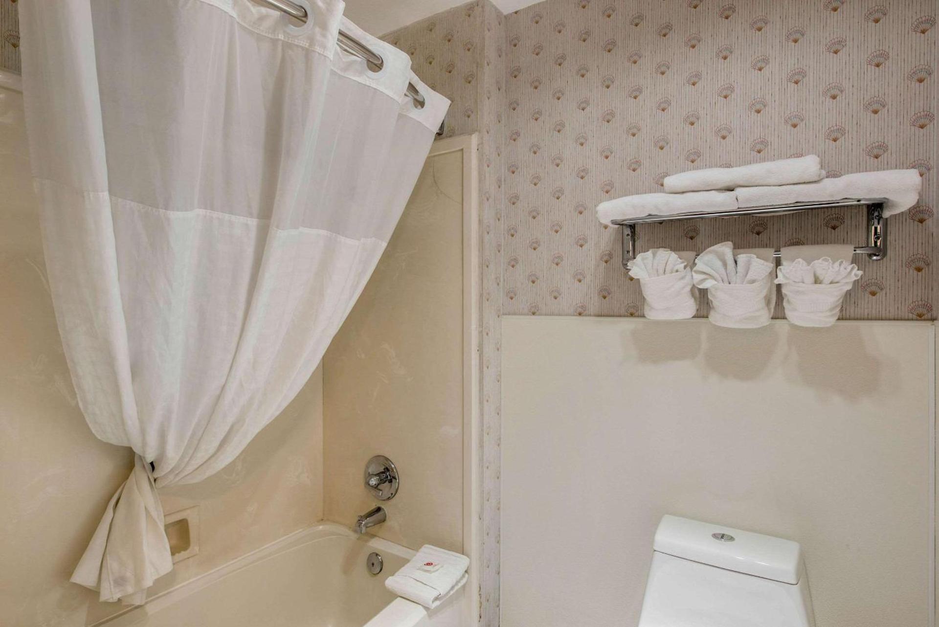 Comfort Inn Mount Shasta Area photo 26
