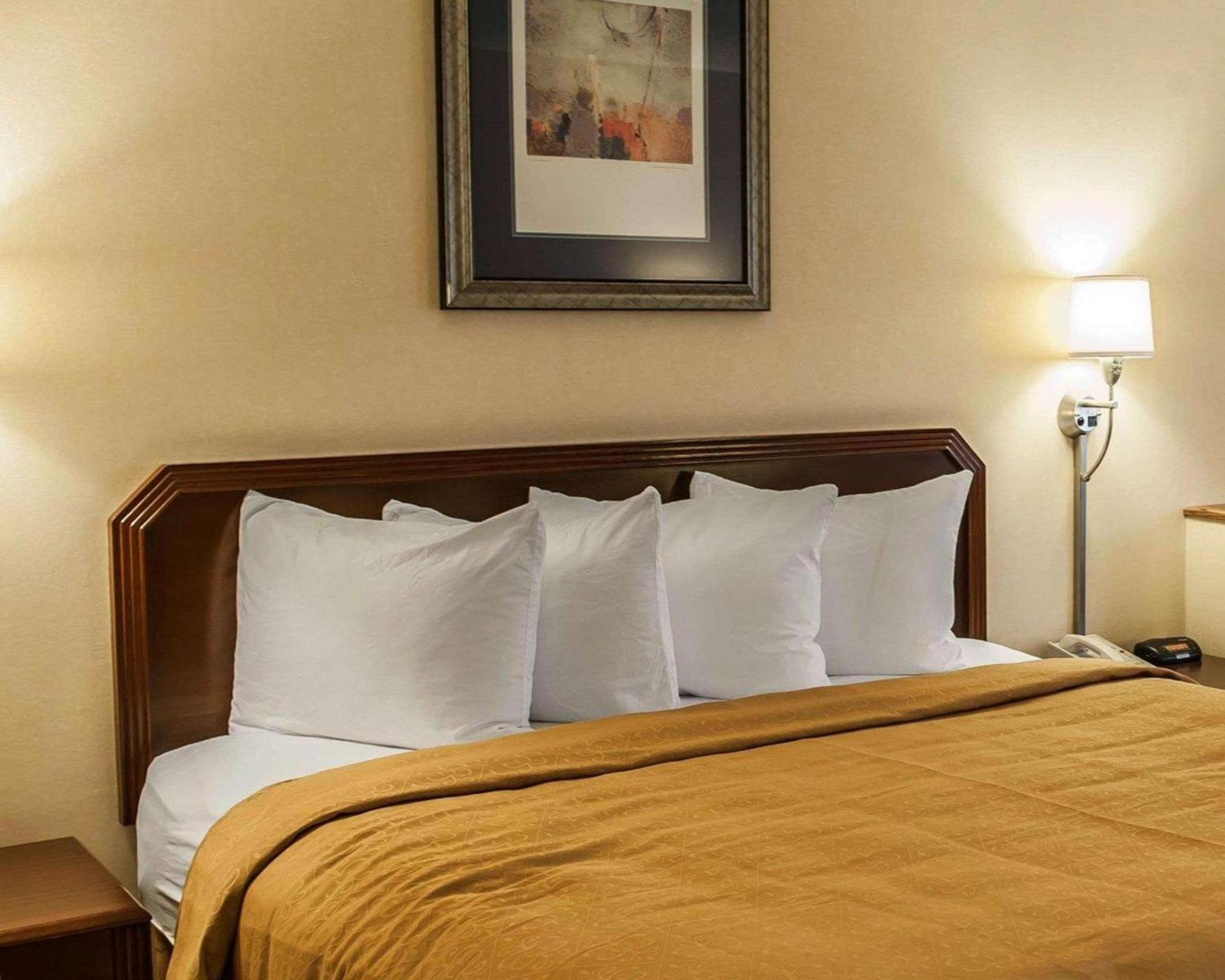 Quality Inn & Suites Goshen photo 9