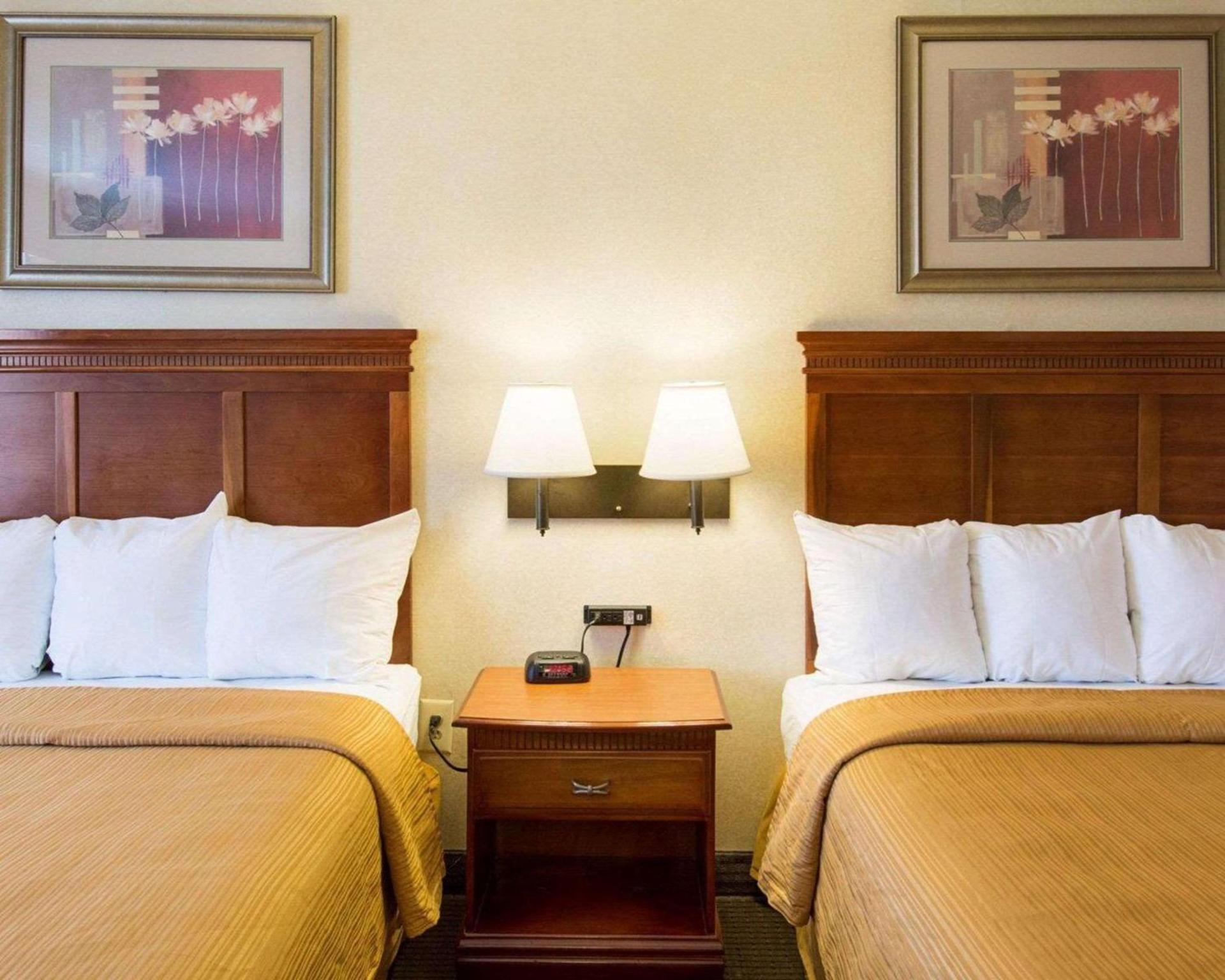 Quality Inn Takoma Park photo 12