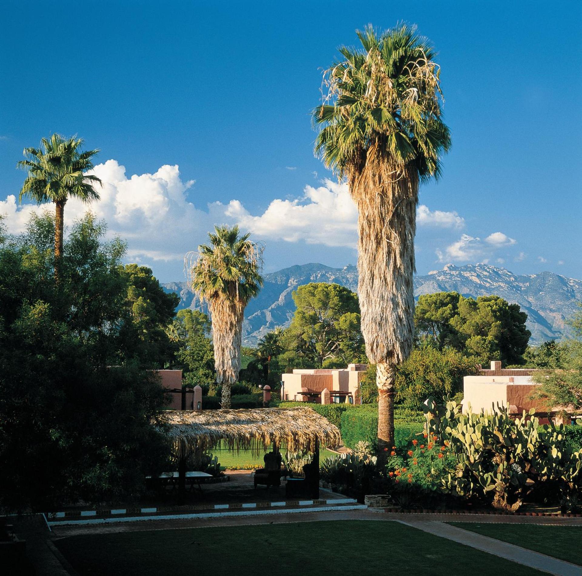 Arizona Inn photo 25