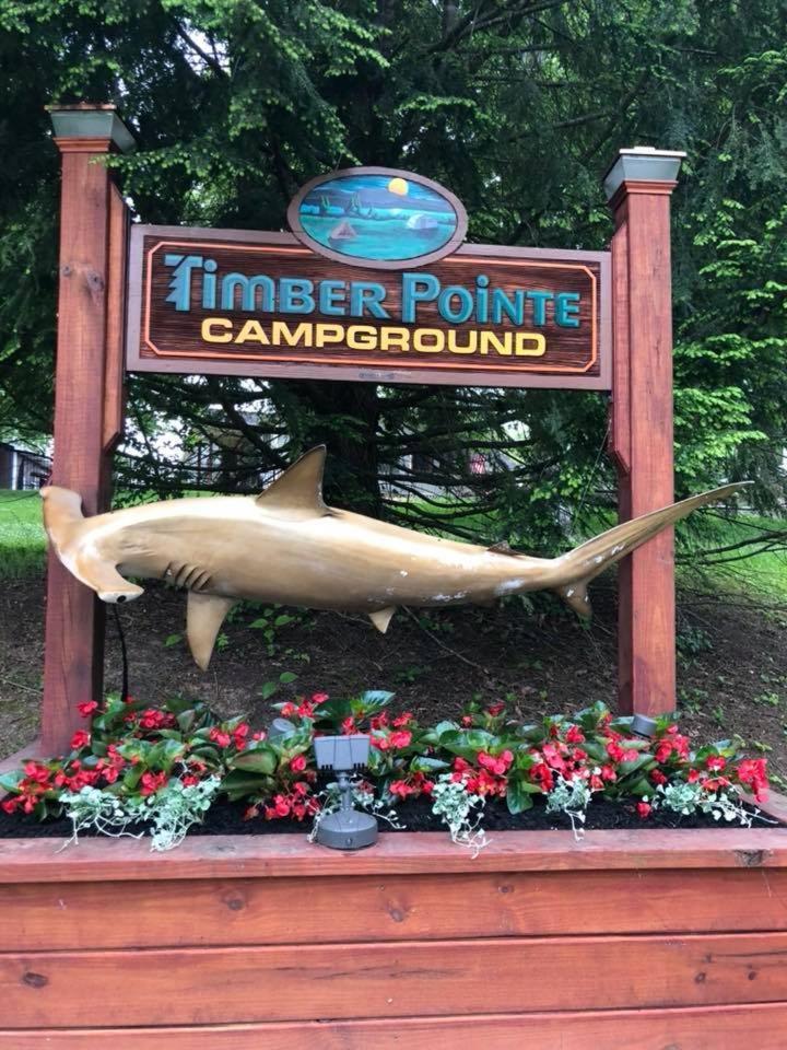 Timber Pointe Resort photo 19