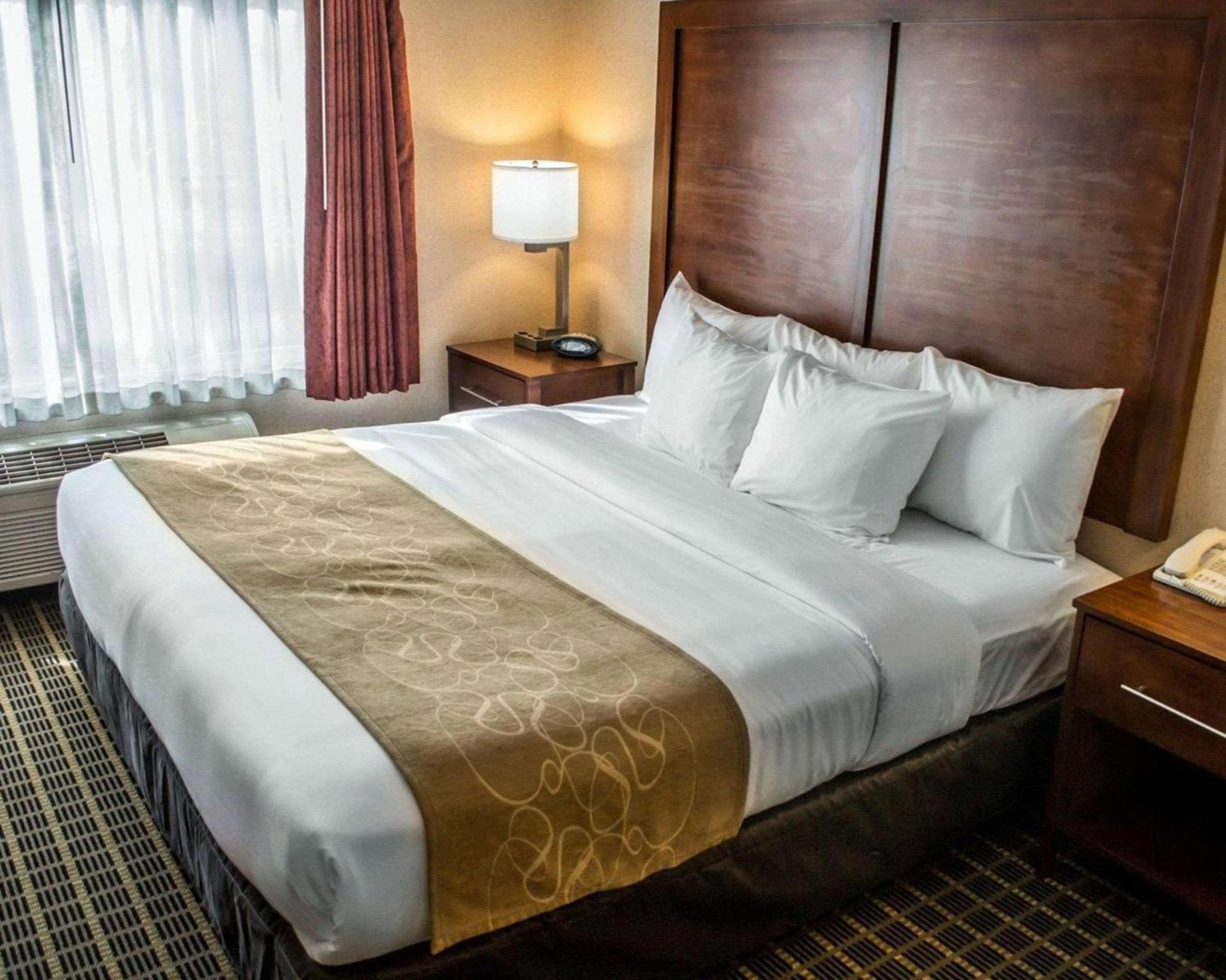 Comfort Suites Portland Southwest photo 10