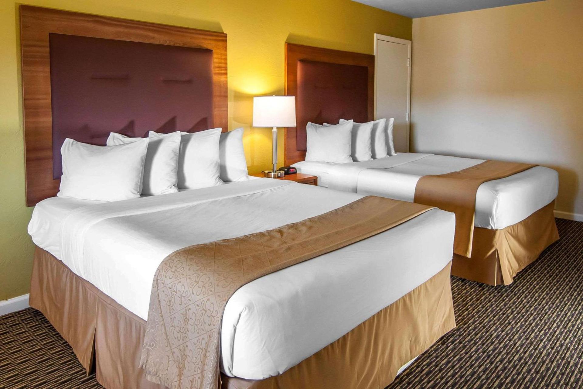 Quality Inn & Suites at Coos Bay photo 19