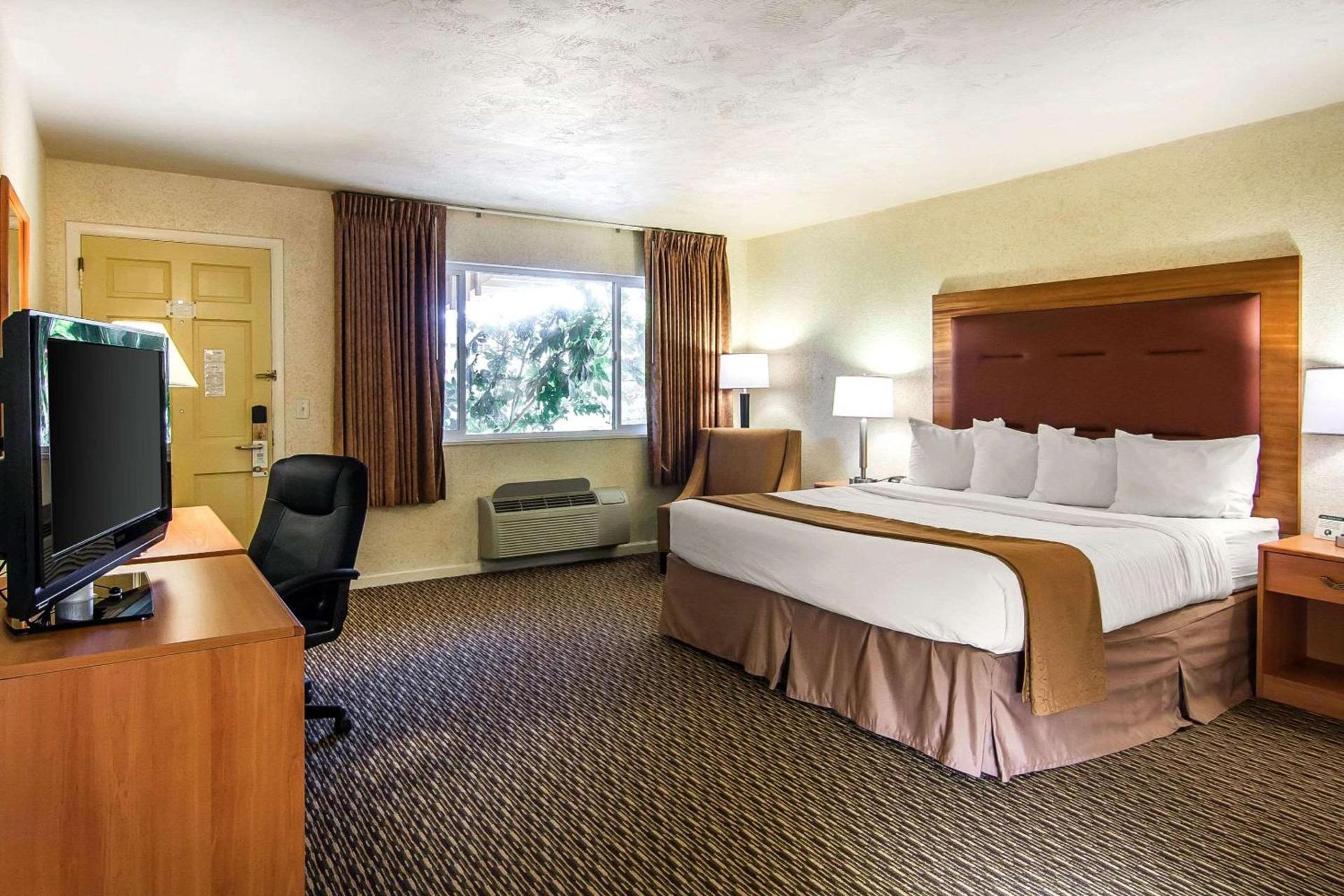 Quality Inn & Suites at Coos Bay photo 16