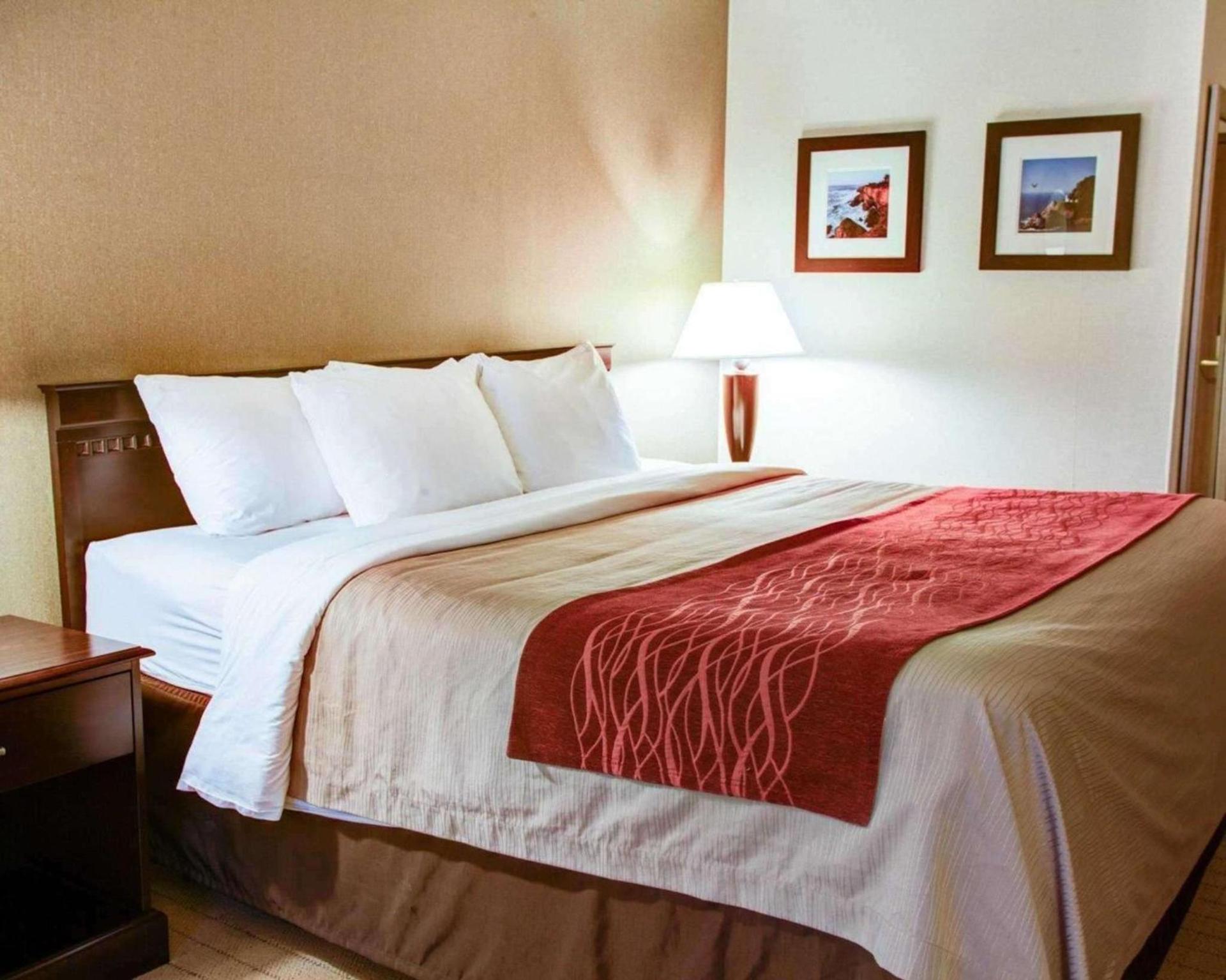 Quality Inn Florence photo 4