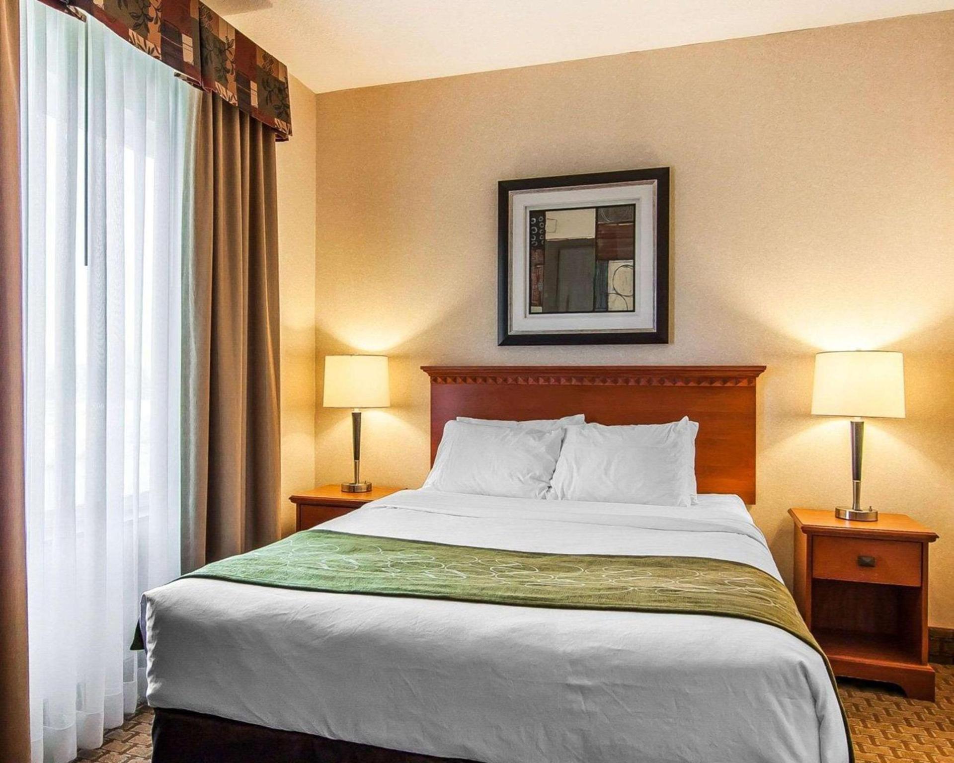 Comfort Suites Redmond Airport photo 5