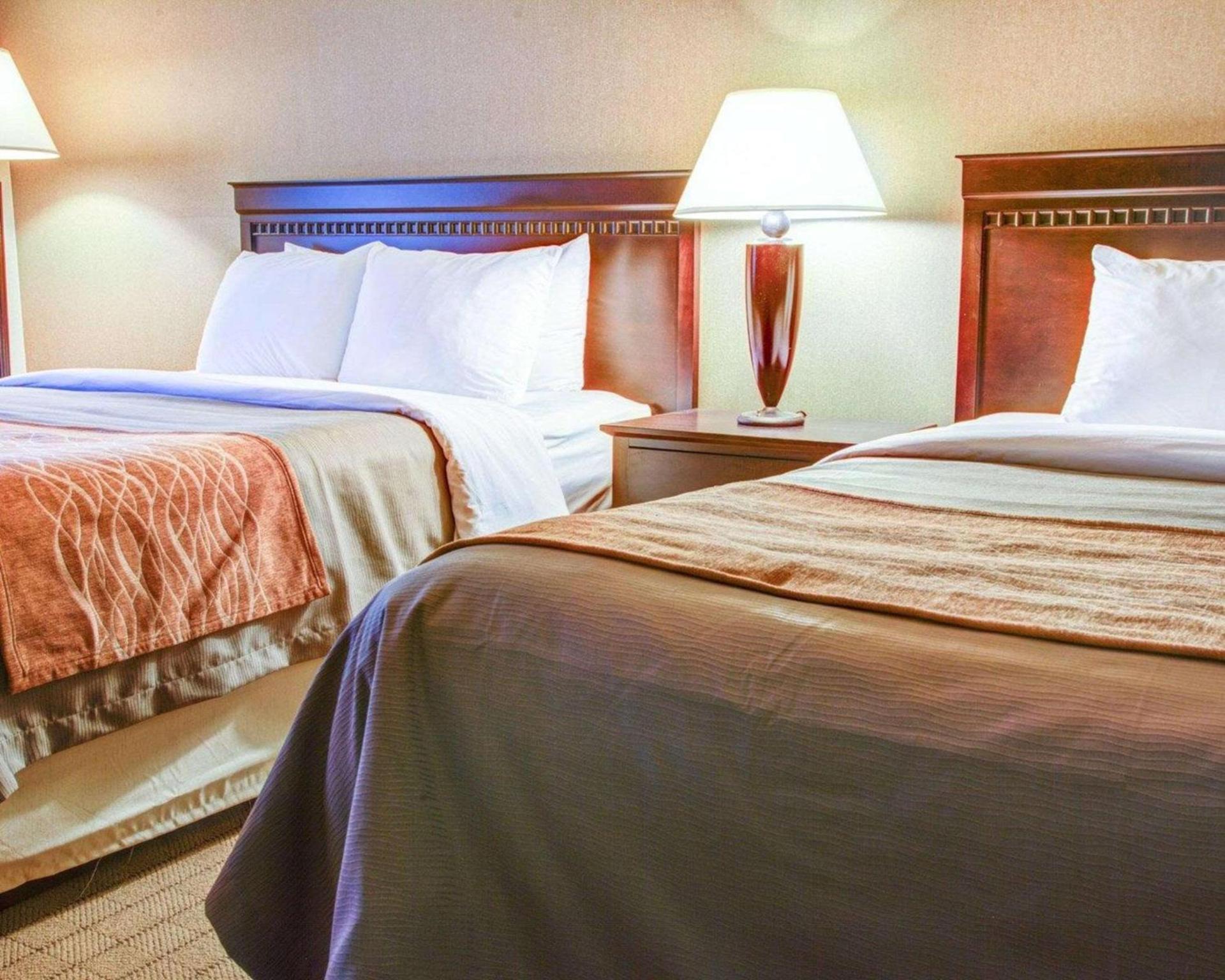 Quality Inn Florence photo 8