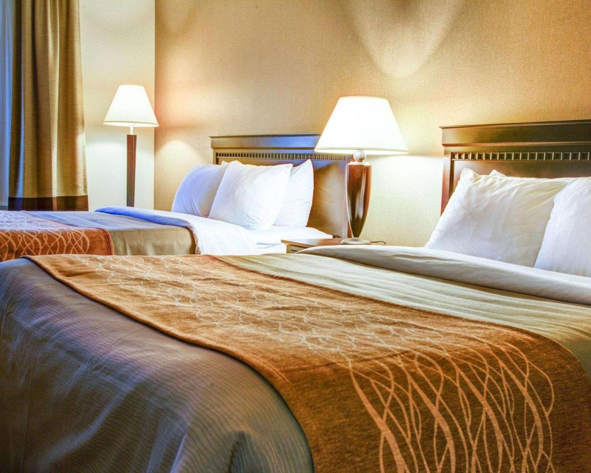Quality Inn Florence photo 5