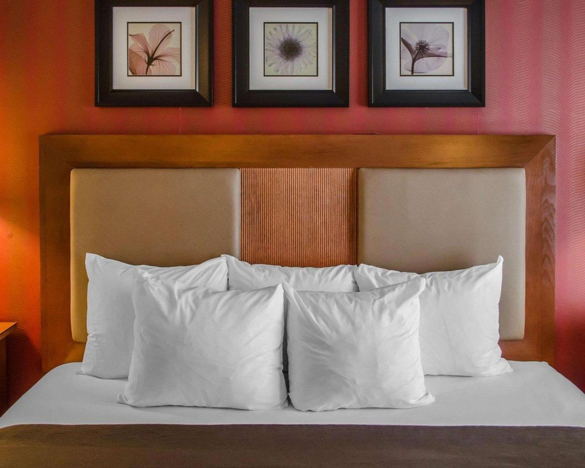 Hotel Hanna photo 12