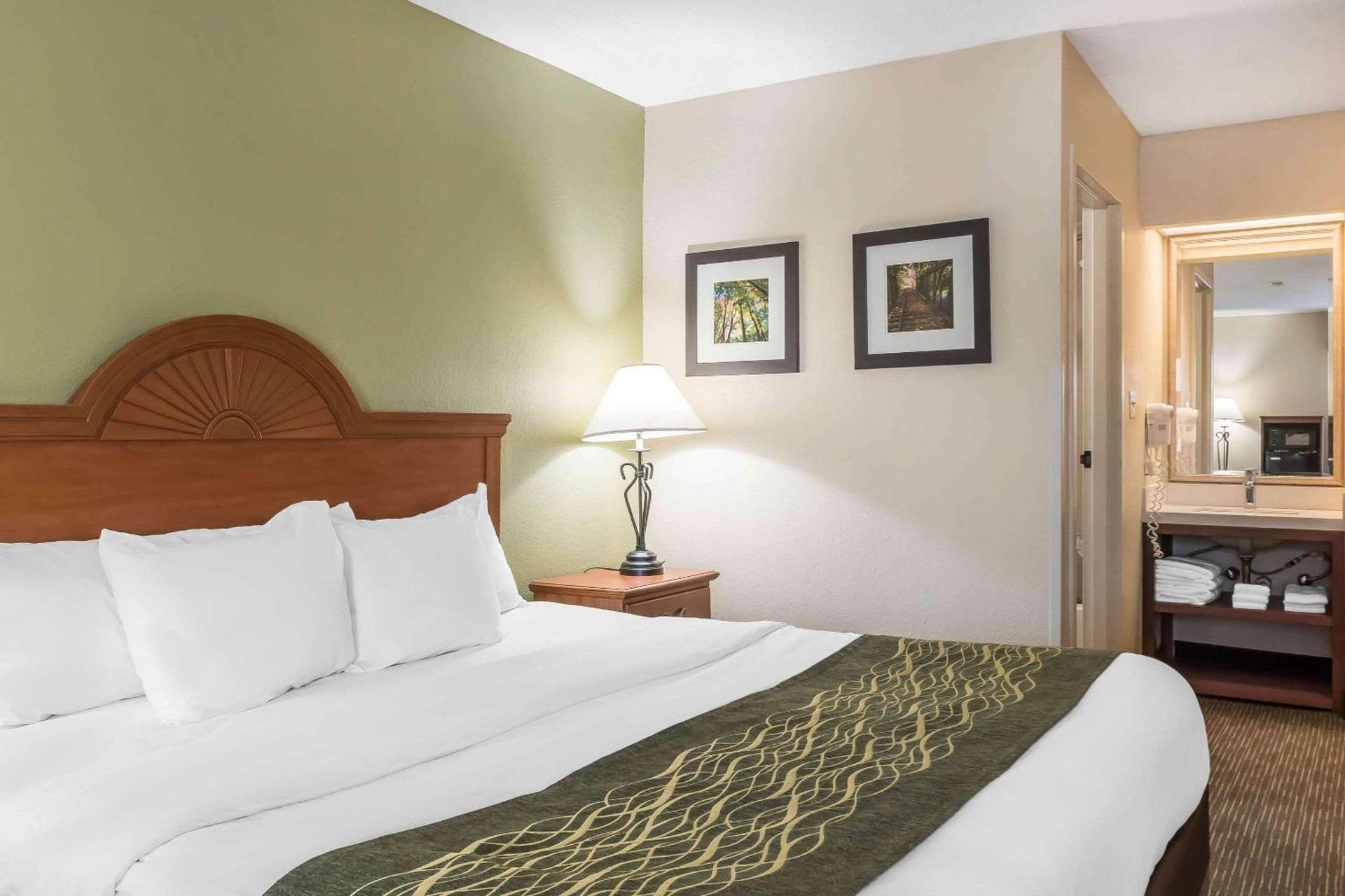 Comfort Inn Pine Grove I-81 Hershey Area photo 18