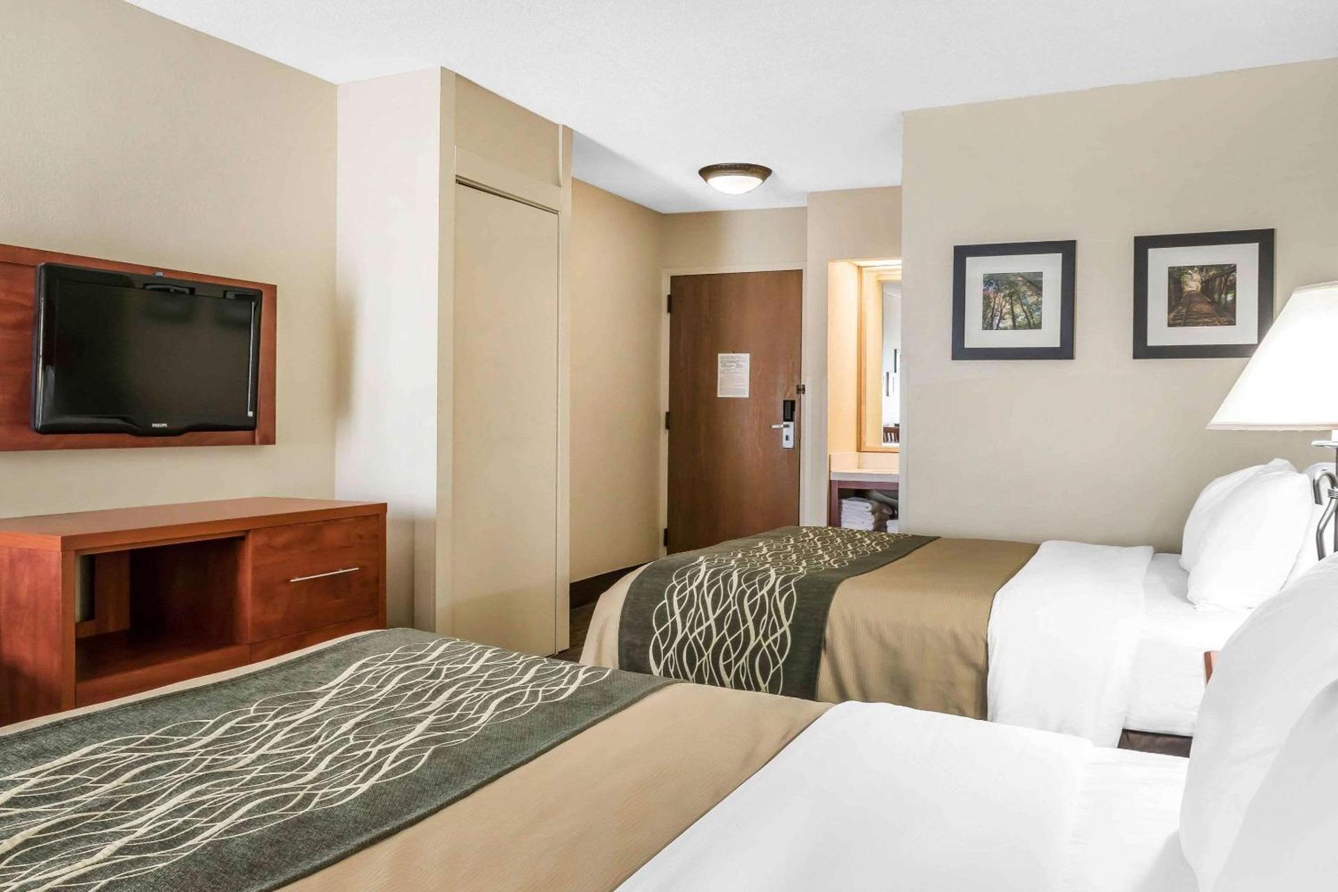 Comfort Inn Pine Grove I-81 Hershey Area photo 22