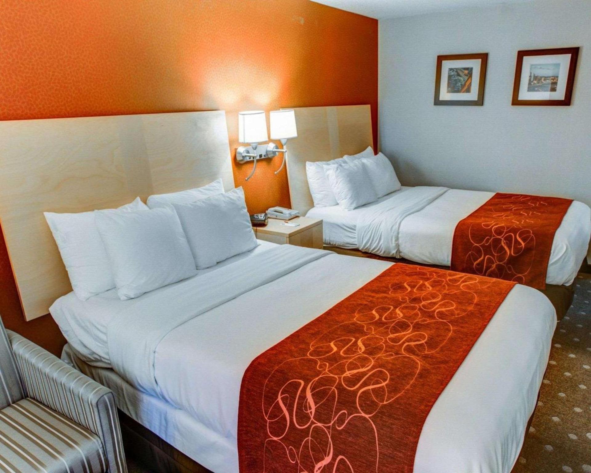 Comfort Suites Pittsburgh Airport photo 6