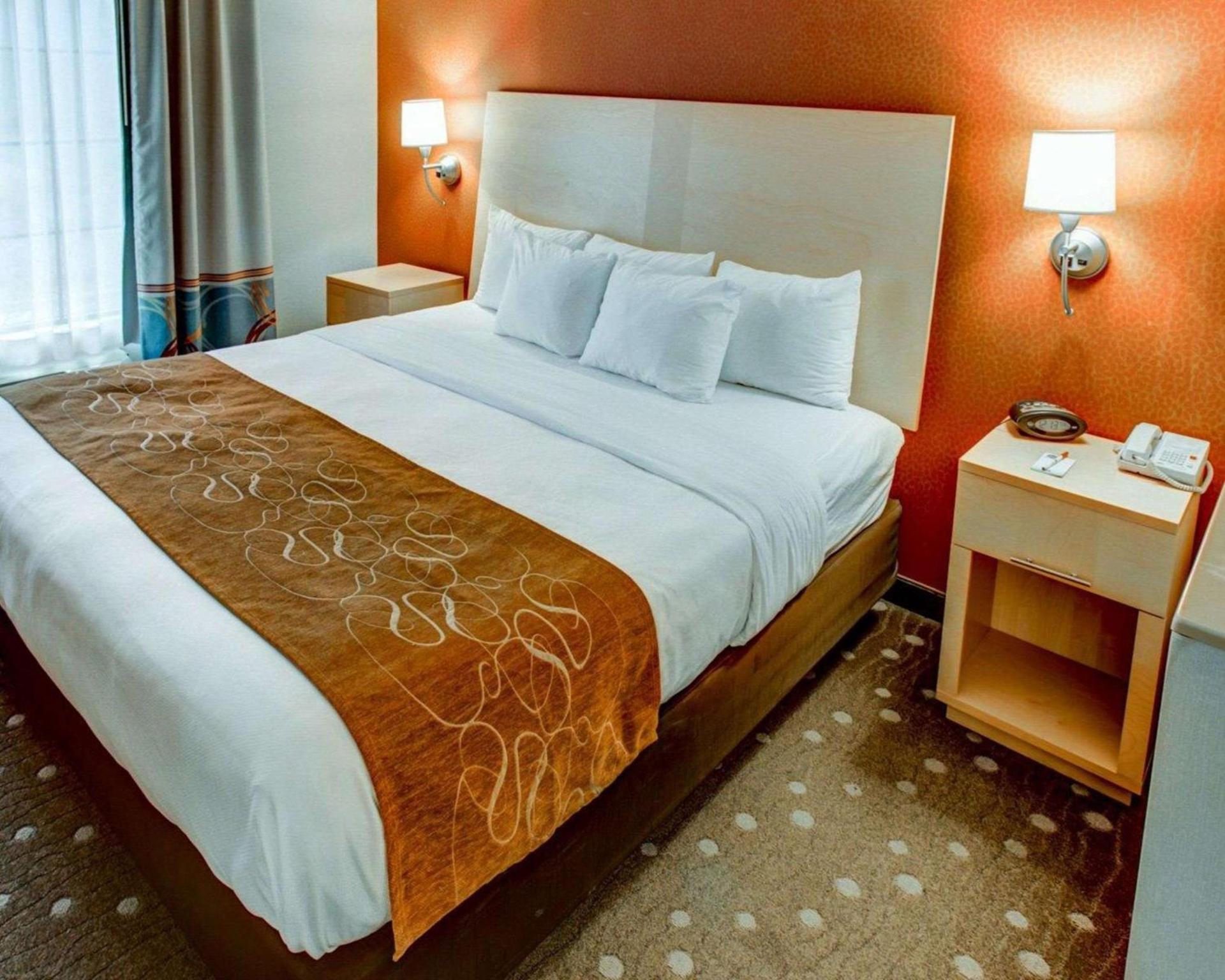 Comfort Suites Pittsburgh Airport photo 16