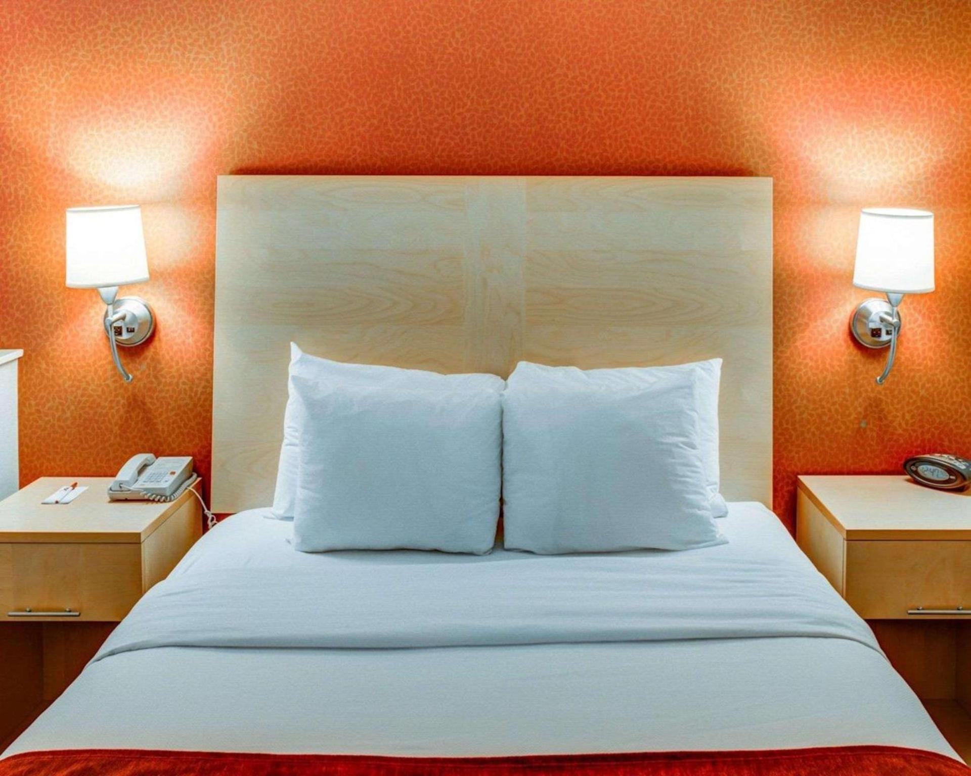 Comfort Suites Pittsburgh Airport photo 12