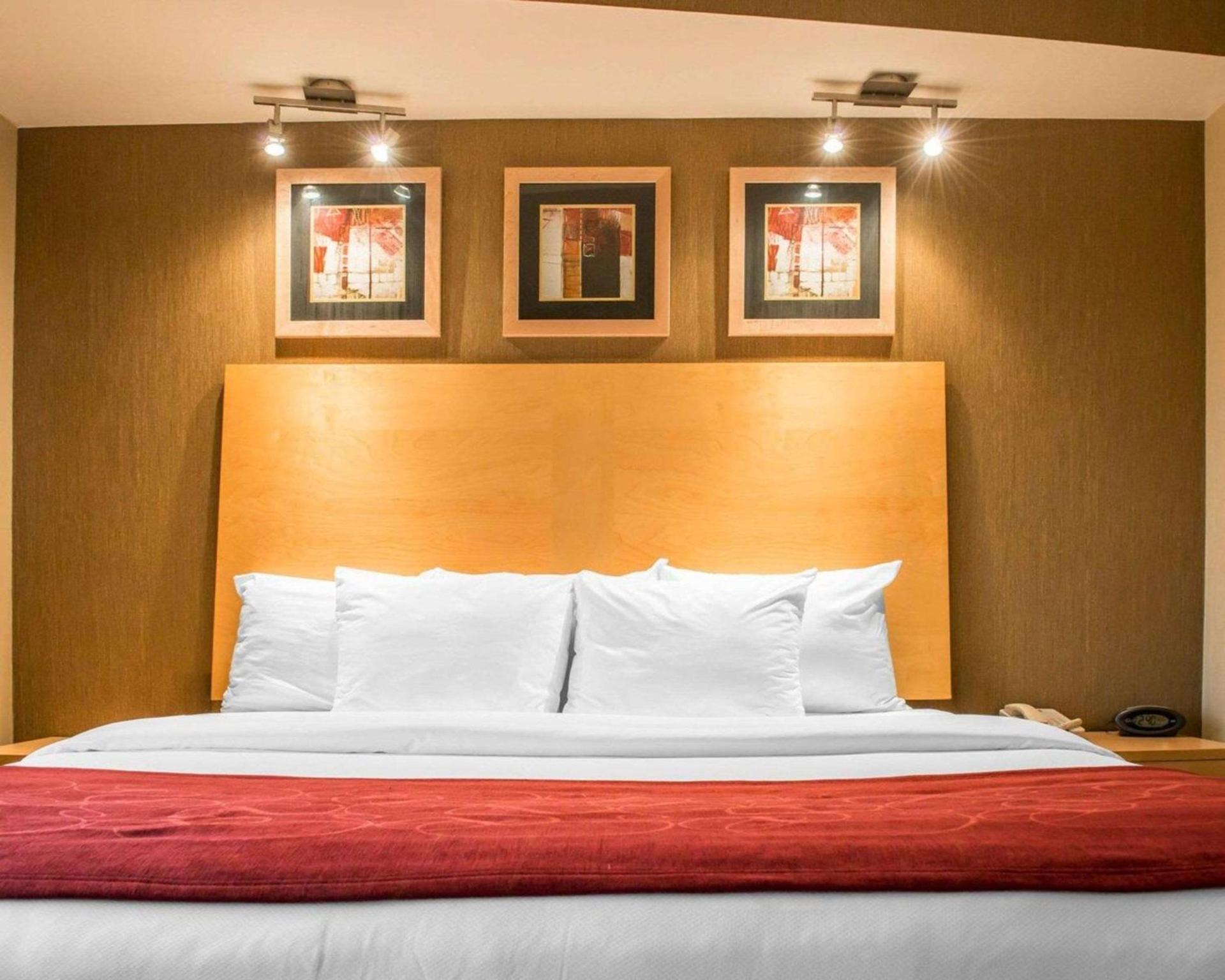 Comfort Suites Monroeville - Pittsburgh East photo 3