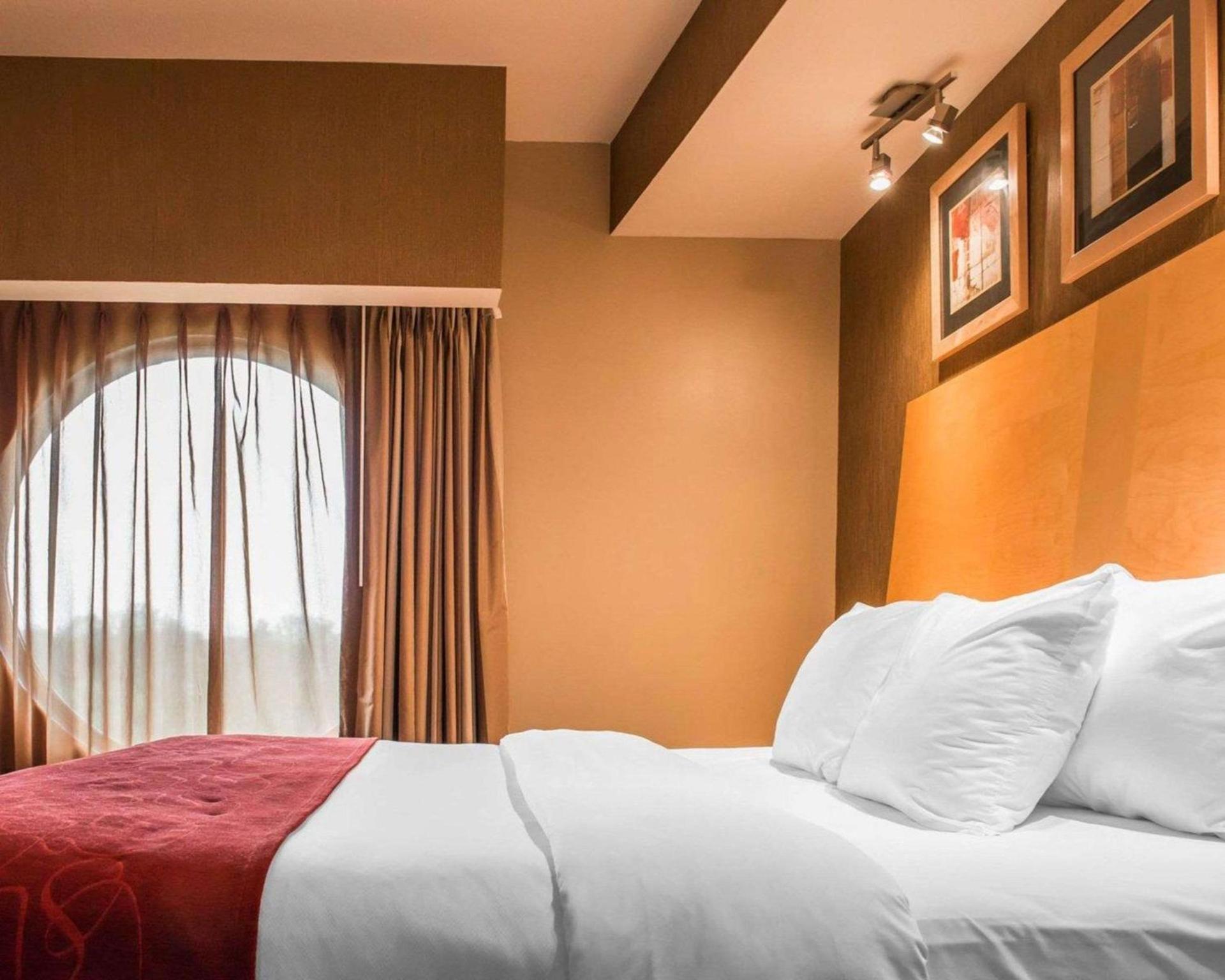 Comfort Suites Monroeville - Pittsburgh East photo 11