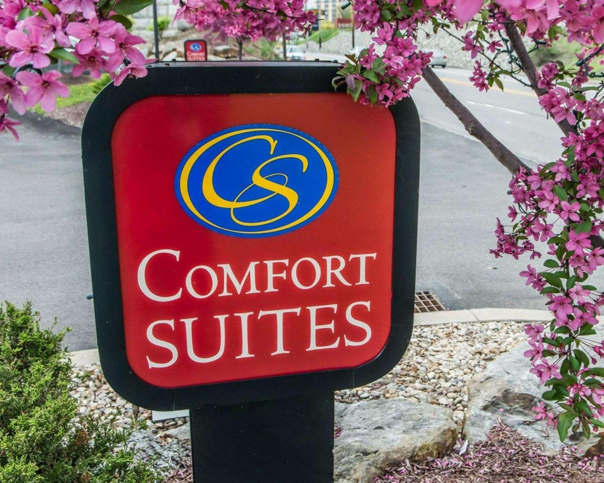 Comfort Suites Monroeville - Pittsburgh East photo 16