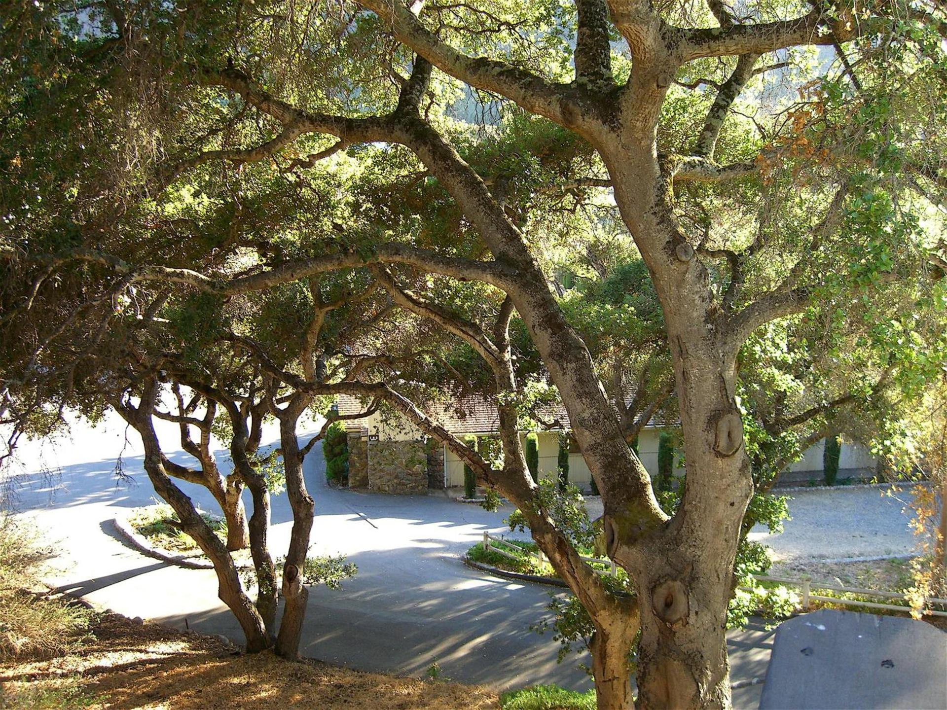 Hidden Valley Inn photo 39