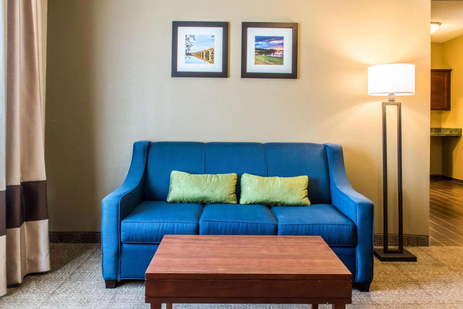 Comfort Inn Lancaster County photo 25