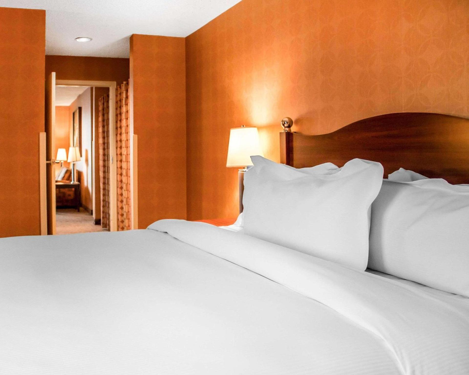 The Woodlands Inn photo 28