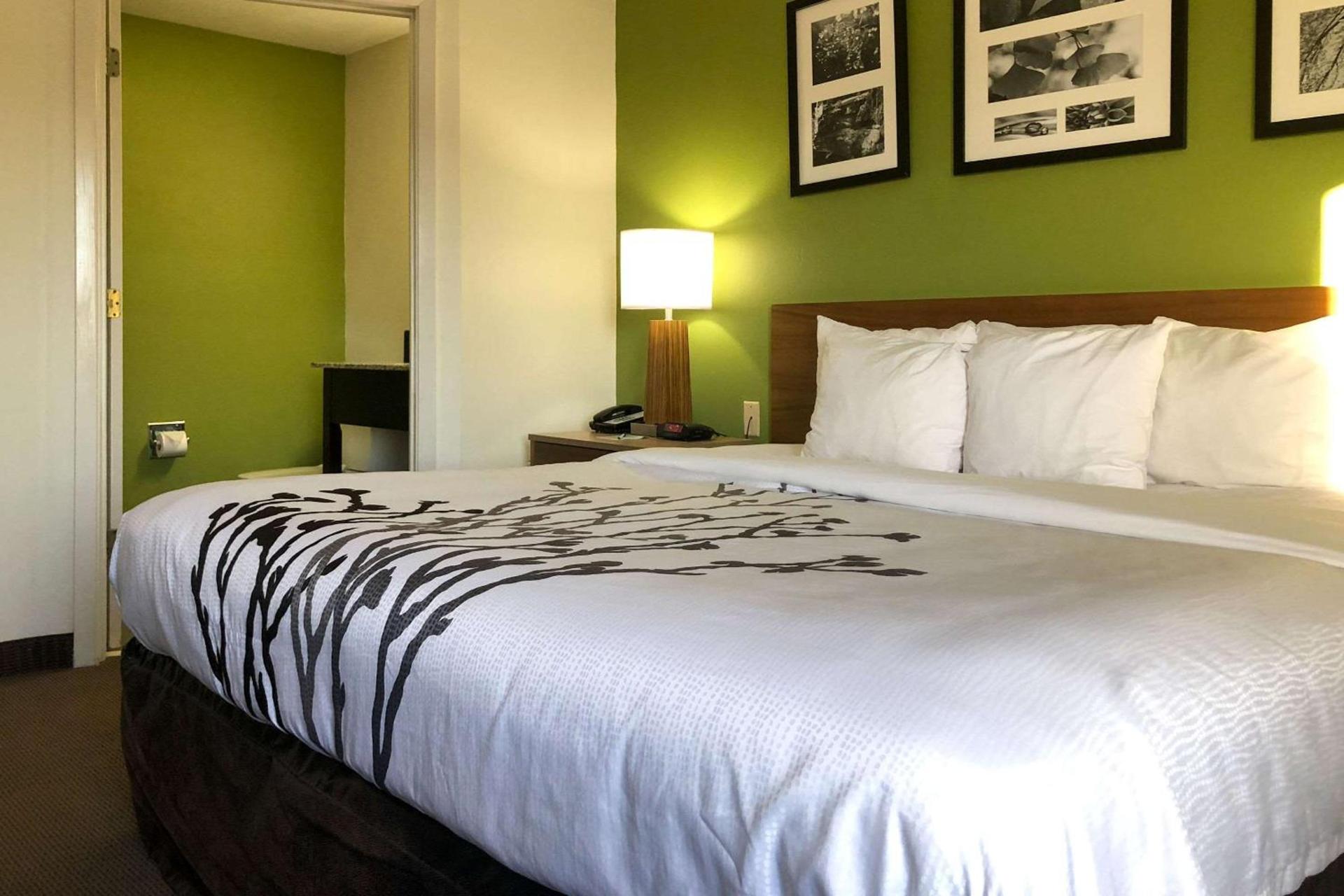 Sleep Inn Hardeeville - I-95 photo 6