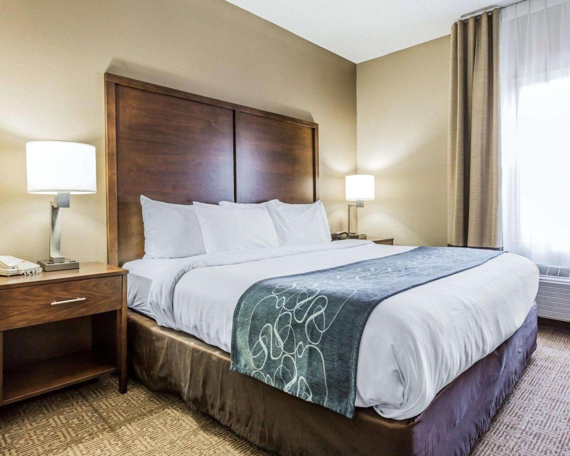 Comfort Suites at Isle of Palms Connector photo 6
