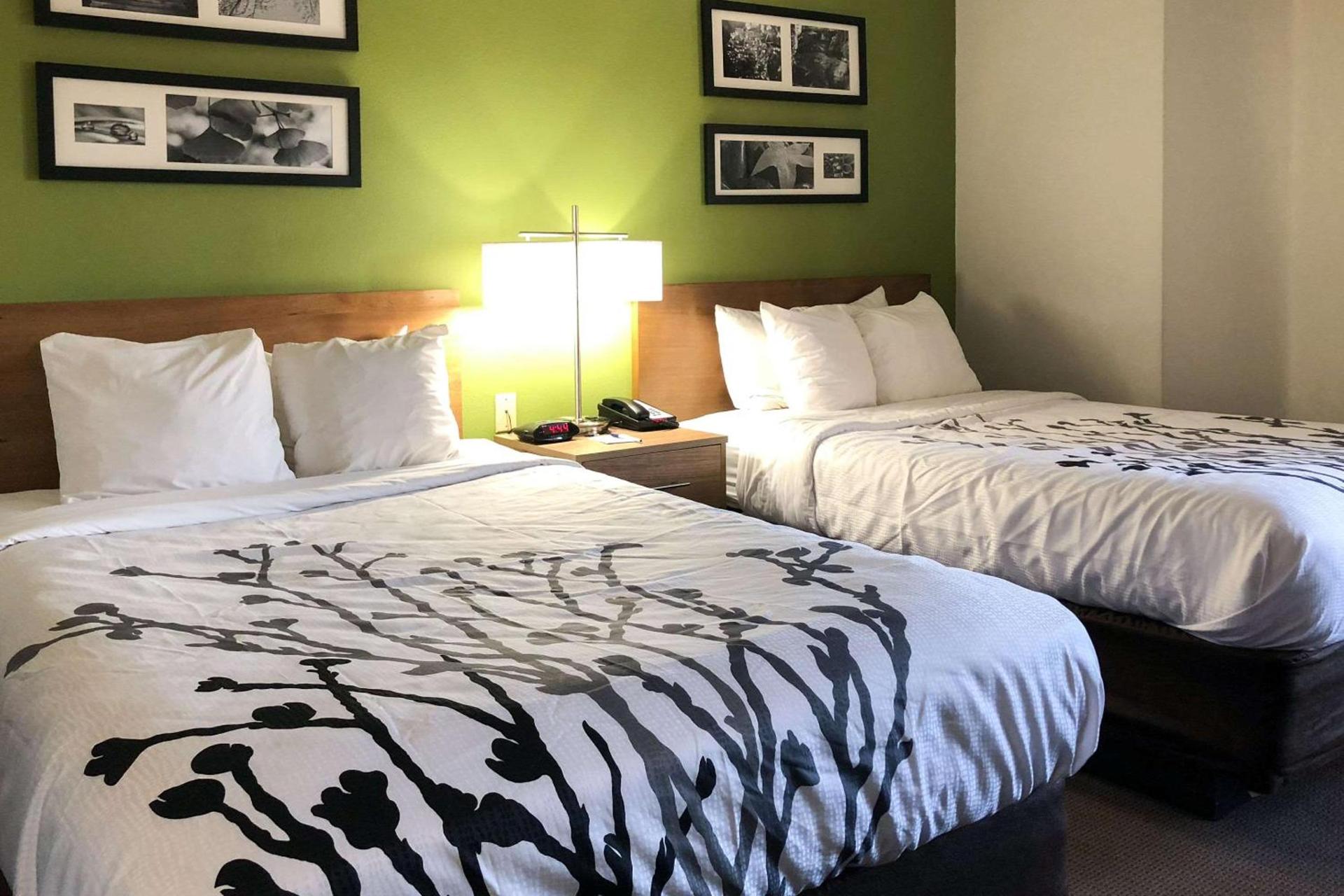 Sleep Inn Hardeeville - I-95 photo 7